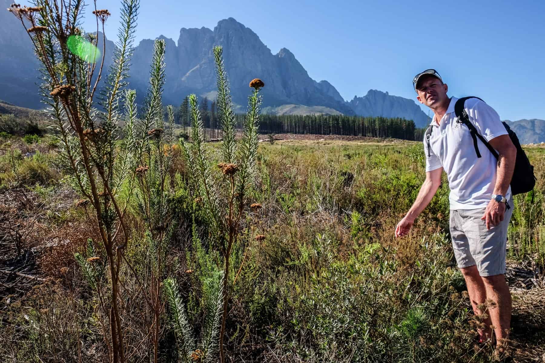 A man dressed in white stands next to a selection of plant shrubs within a wide flat nature park in South Africa that's backed by jagged mountains.