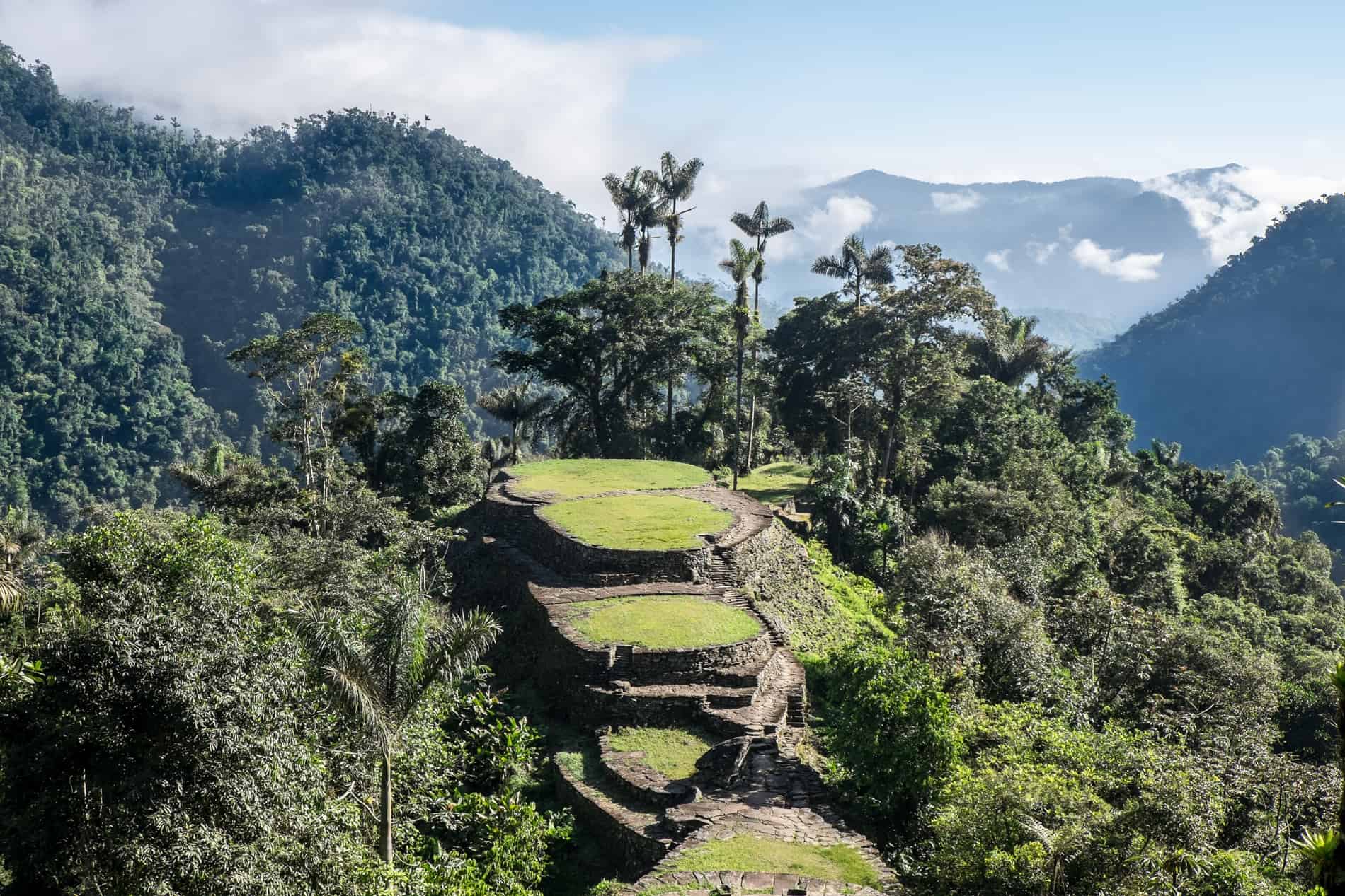 Elevated view overthe large, grassy stone terraces of the mountain top Lost City (Ciudad Perdida) in Colombia. 