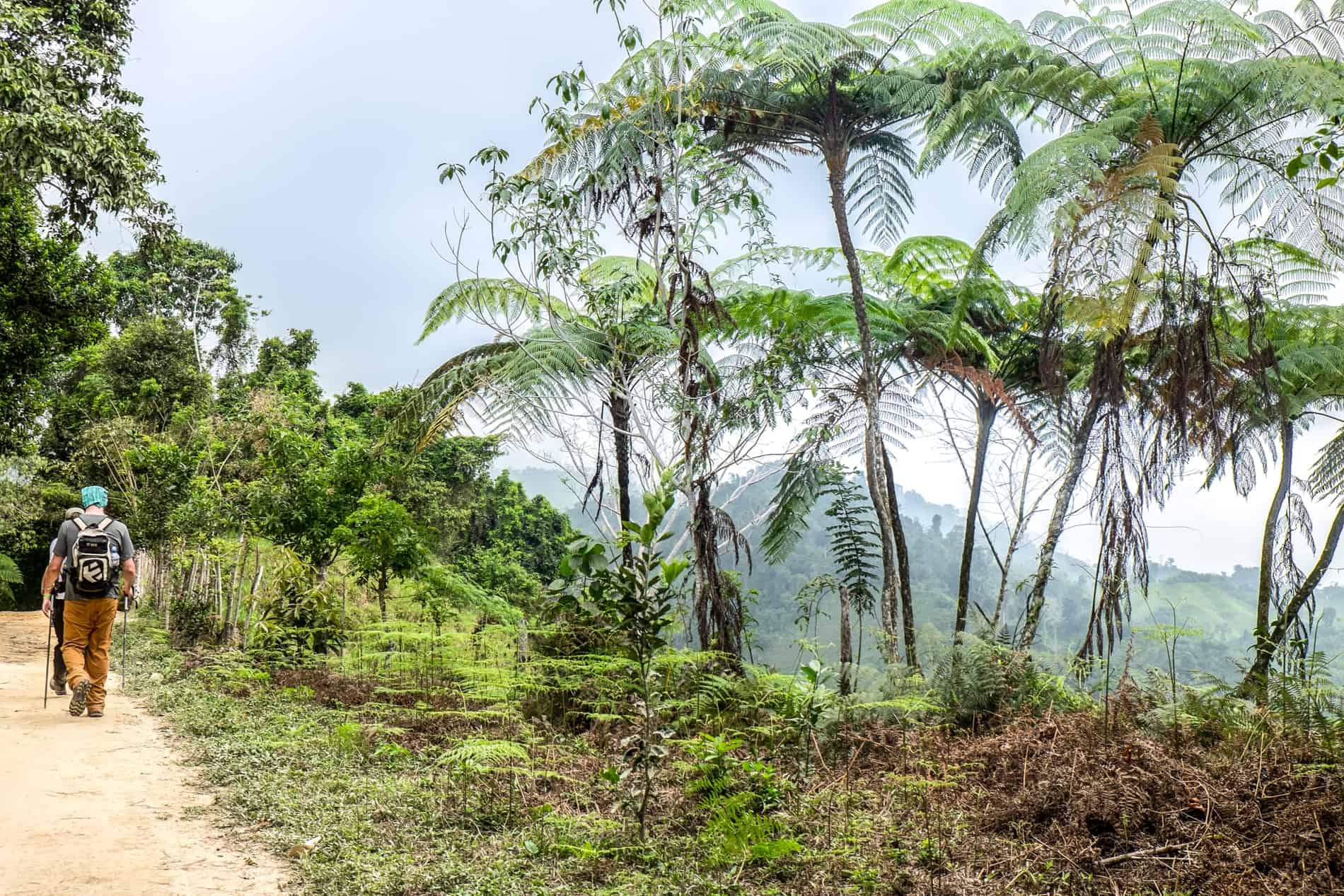 Trekkers on a mountain slope trail on the Colombia Lost City Trek. 