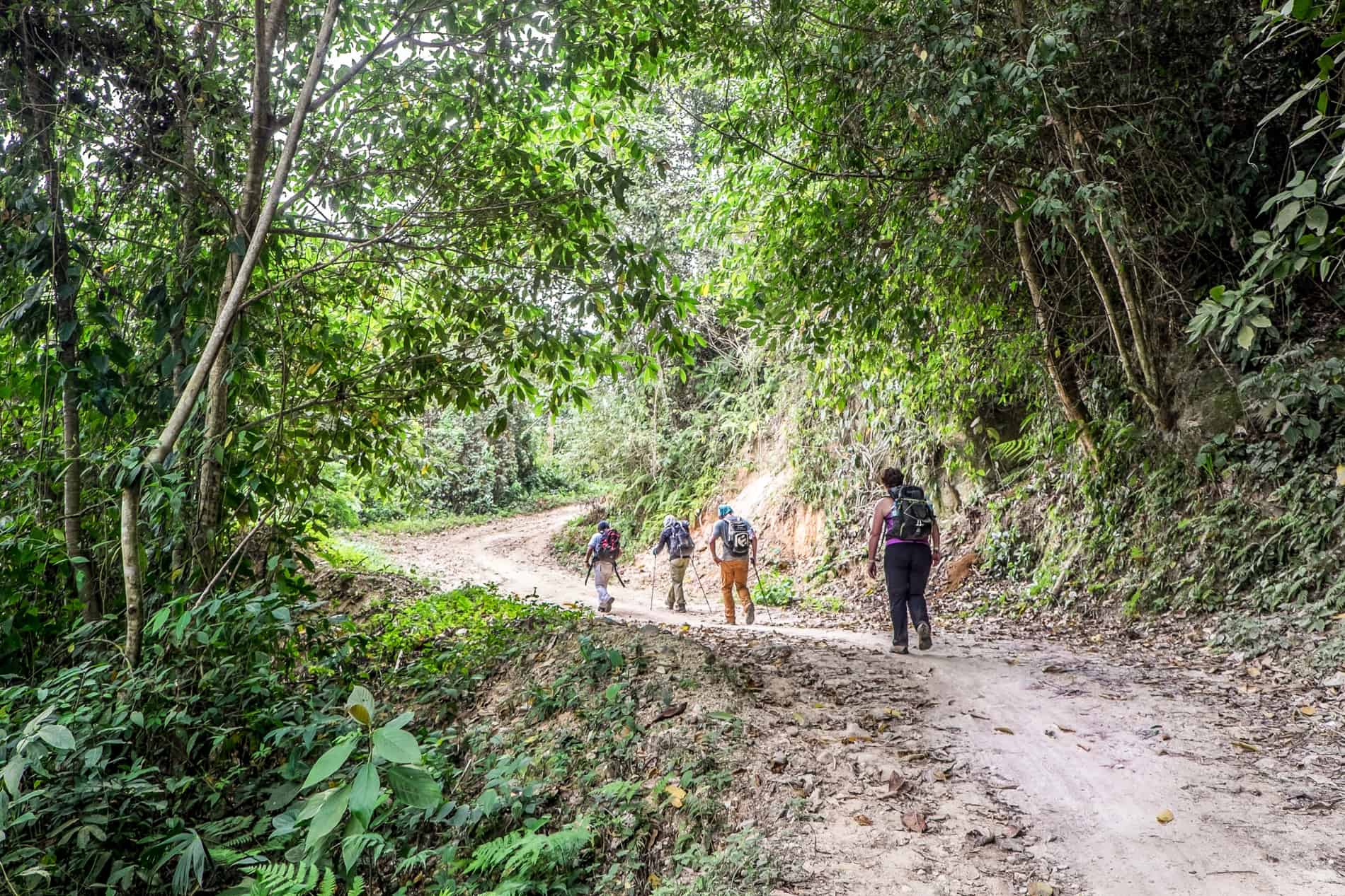 A small group trekking on a forest path to Ciudad Perdida, Colombia.