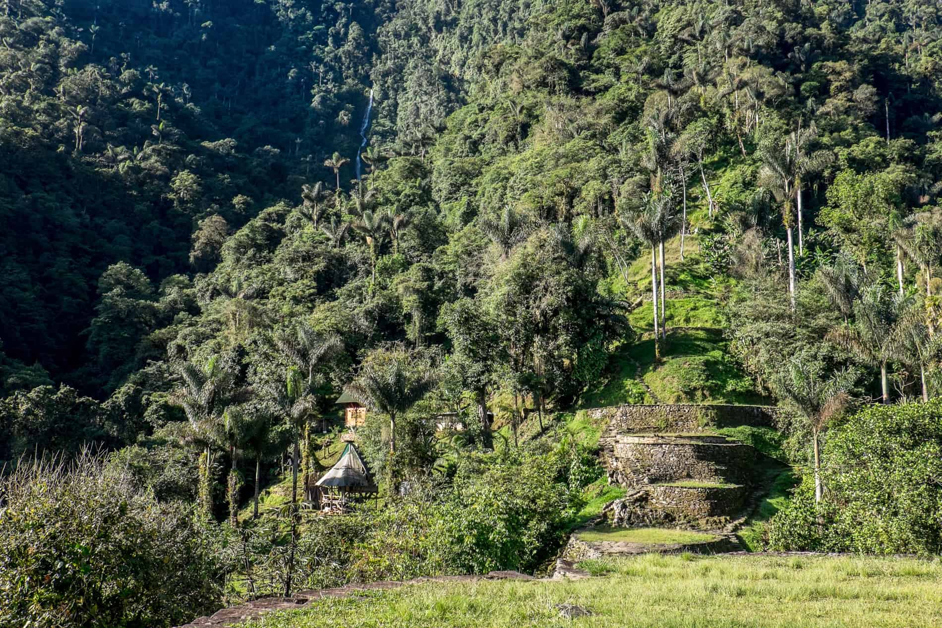 Dense jungle covered stone terraces of Ciudad Perdida (Lost City). 