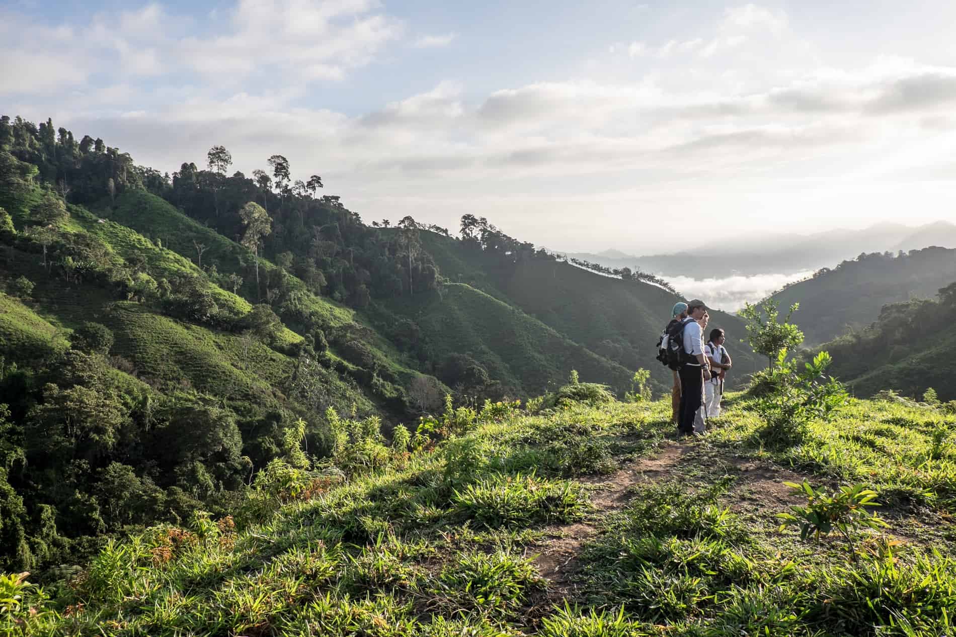 Trekkers standing upon a forested platform of the Sierra Nevada mountain range in Colombia. 