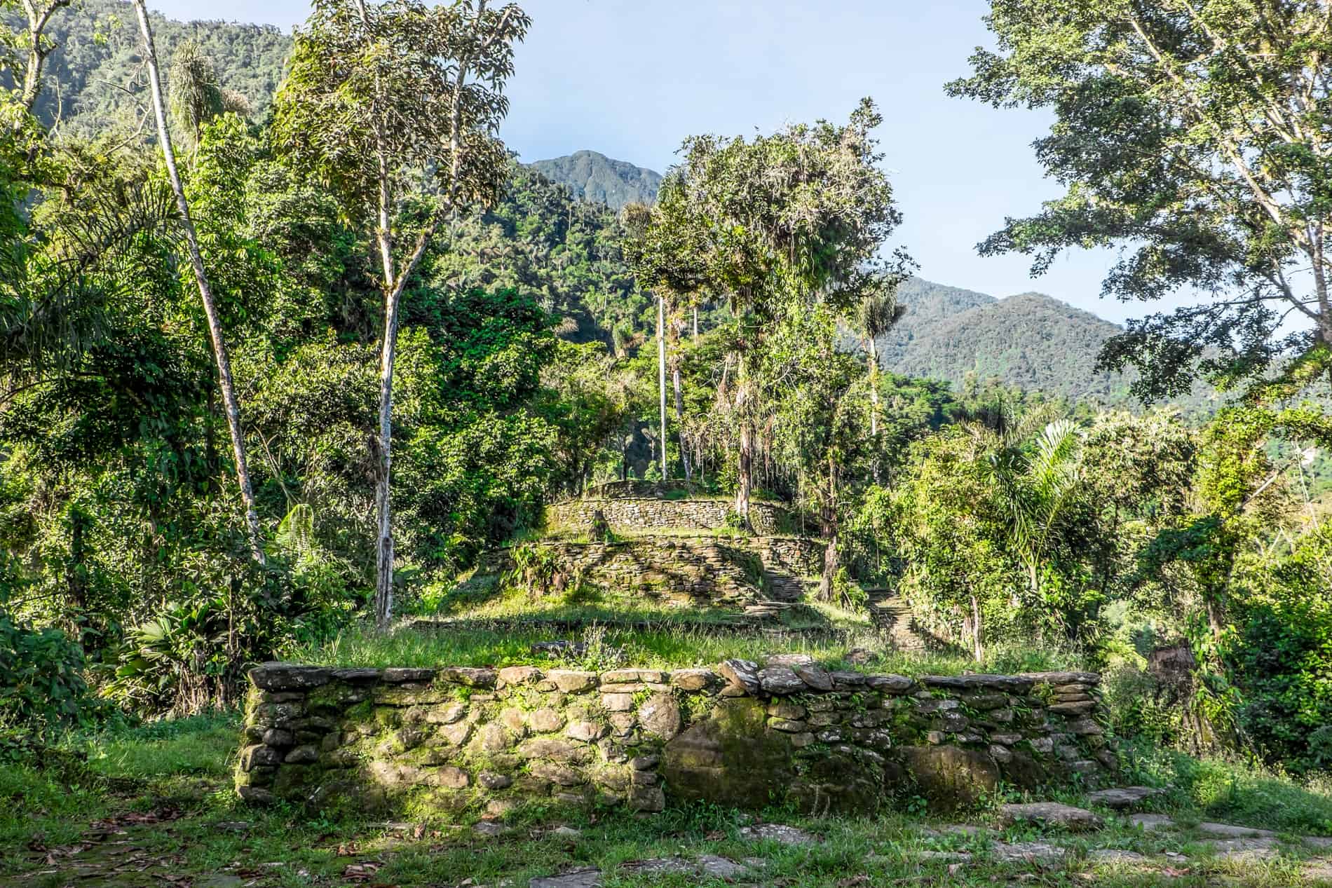 Dense jungle encased stone terraces of The Lost City Ciudad Perdida in Colombia.