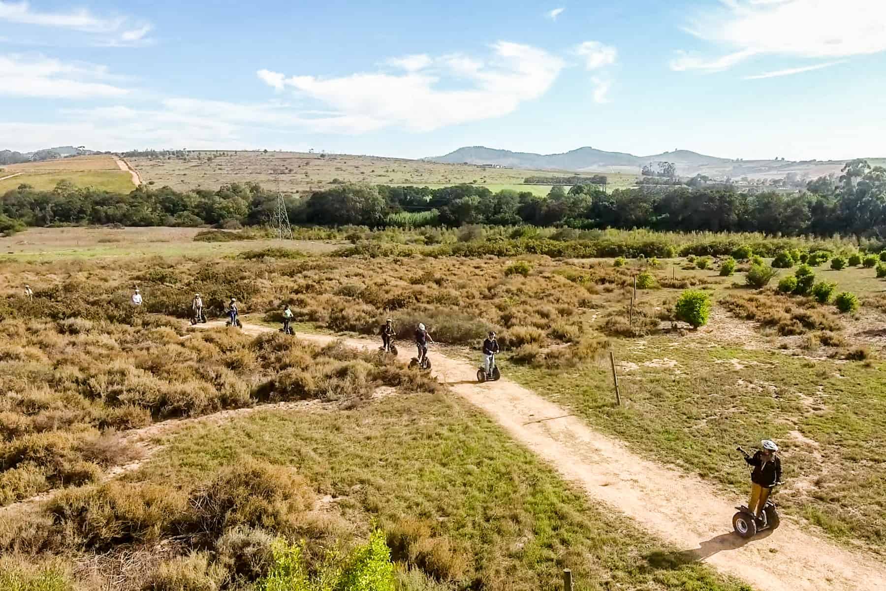 A small group of people on a Wine Segway tour through a yellow lowland vineyard. the segways pass on a golden track.