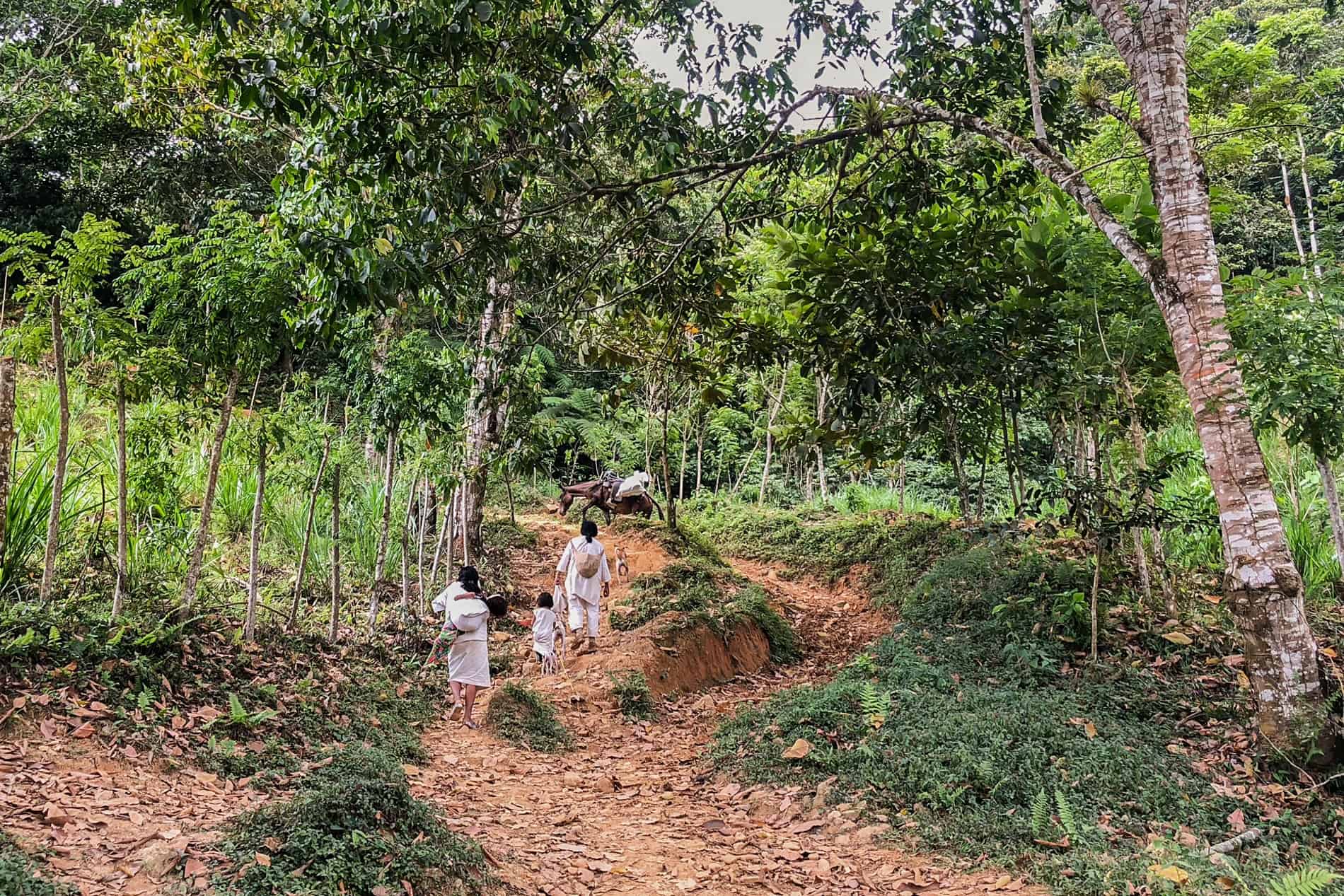 Indigenous communities of the Sierra Nevada de Santa Marta on the Lost City trekking trail.