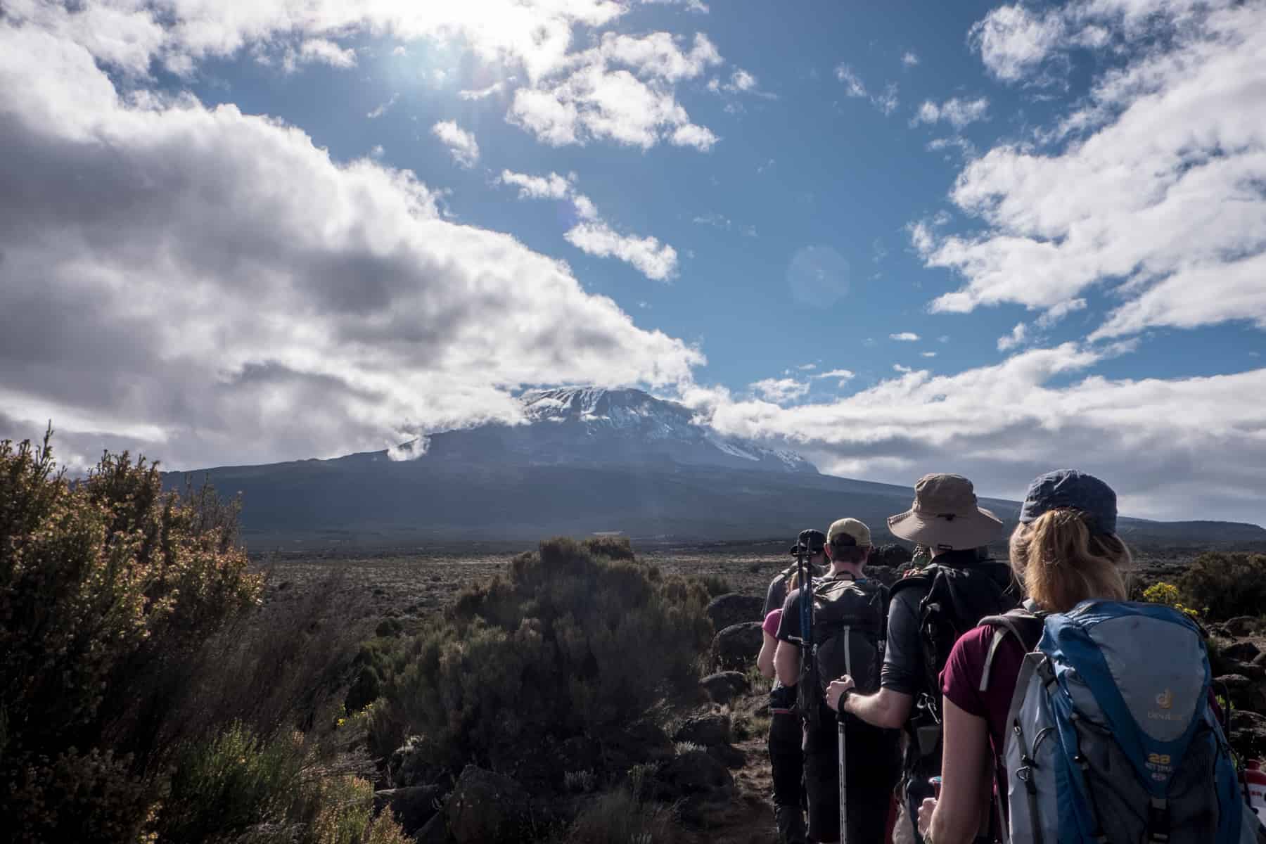 A small trekking group climbing Kilimanjaro moorland with a view of the snow-capped Kibo Peak ahead.