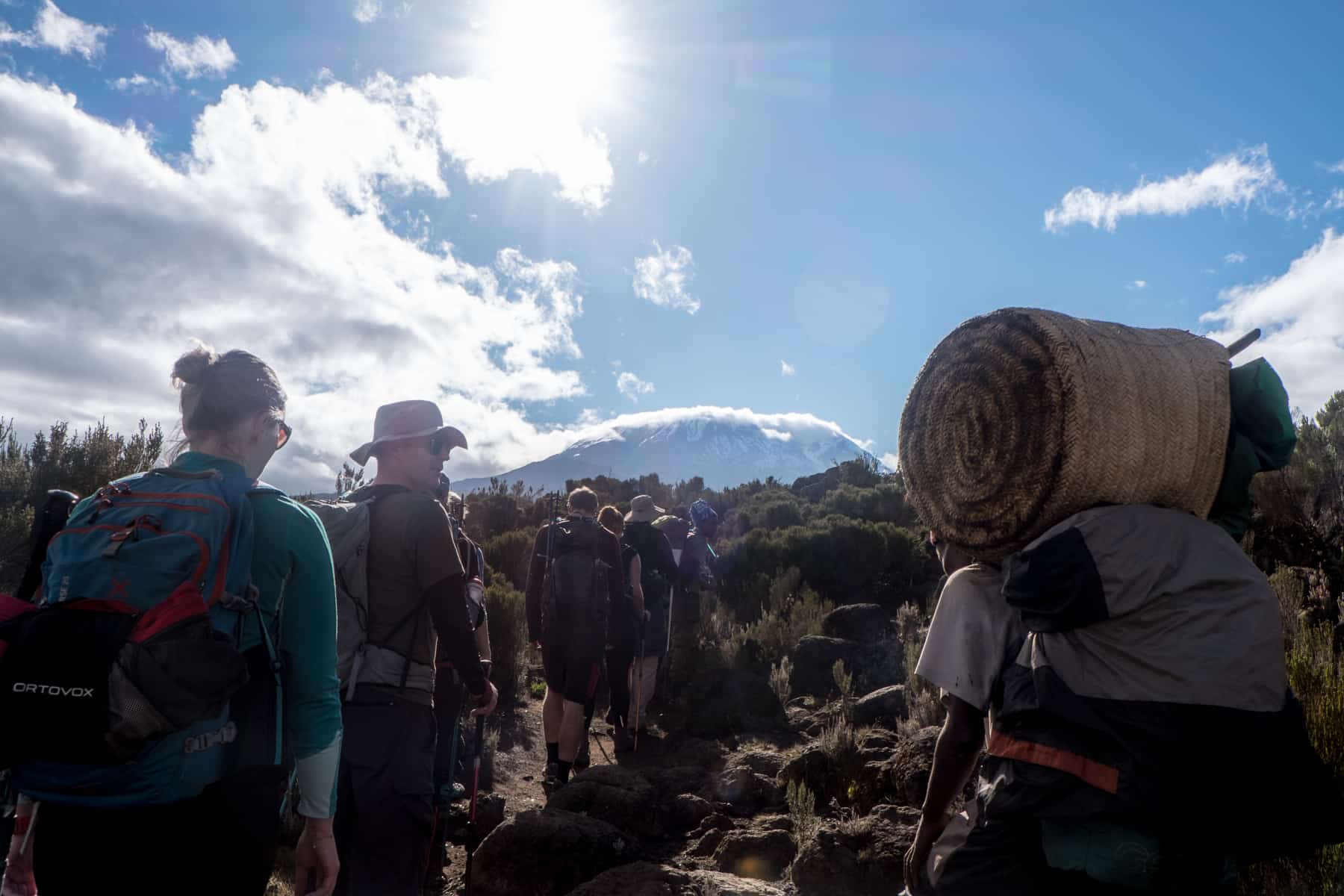 A small trekking group climbing Kilimanjaro moorland with a view of the snow-capped Kibo Peak ahead