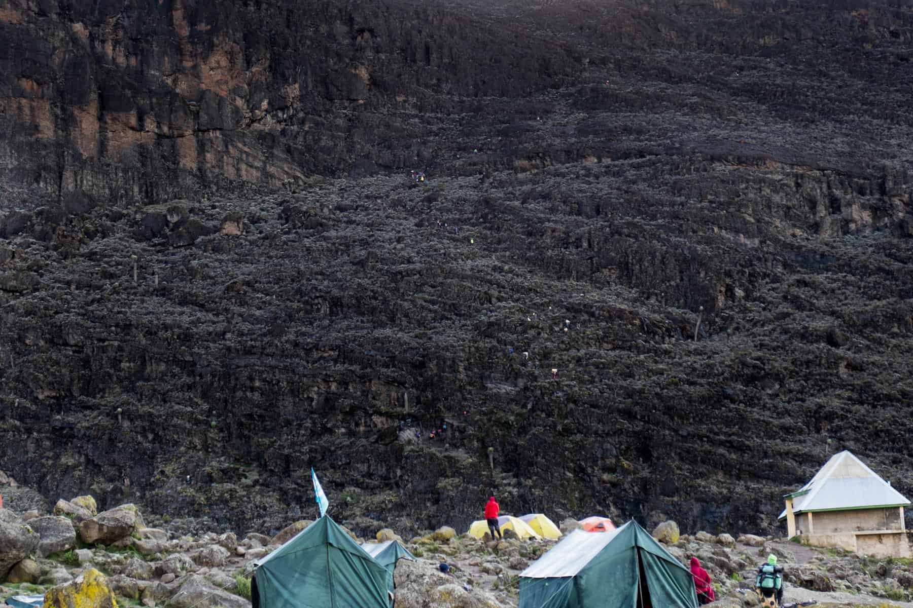 The high, dark steep Barranco wall that rises about camp tents, and a part of climbing Kilimanjaro.
