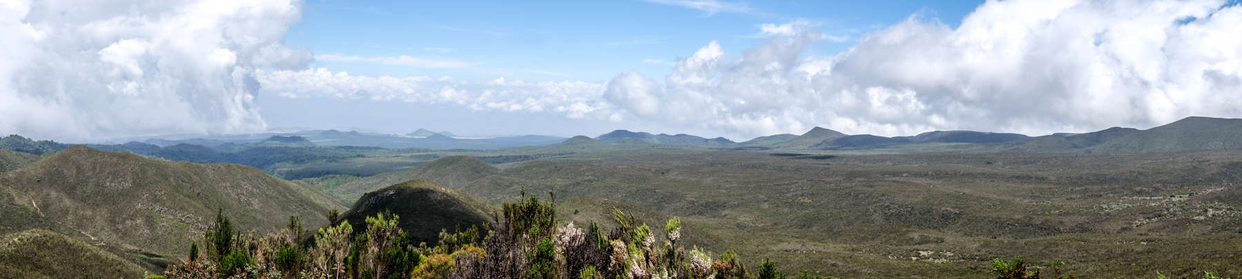 A panoramic view of the green Kilimanjaro valley bed from an elevated viewpoint of the Shira Ridge.