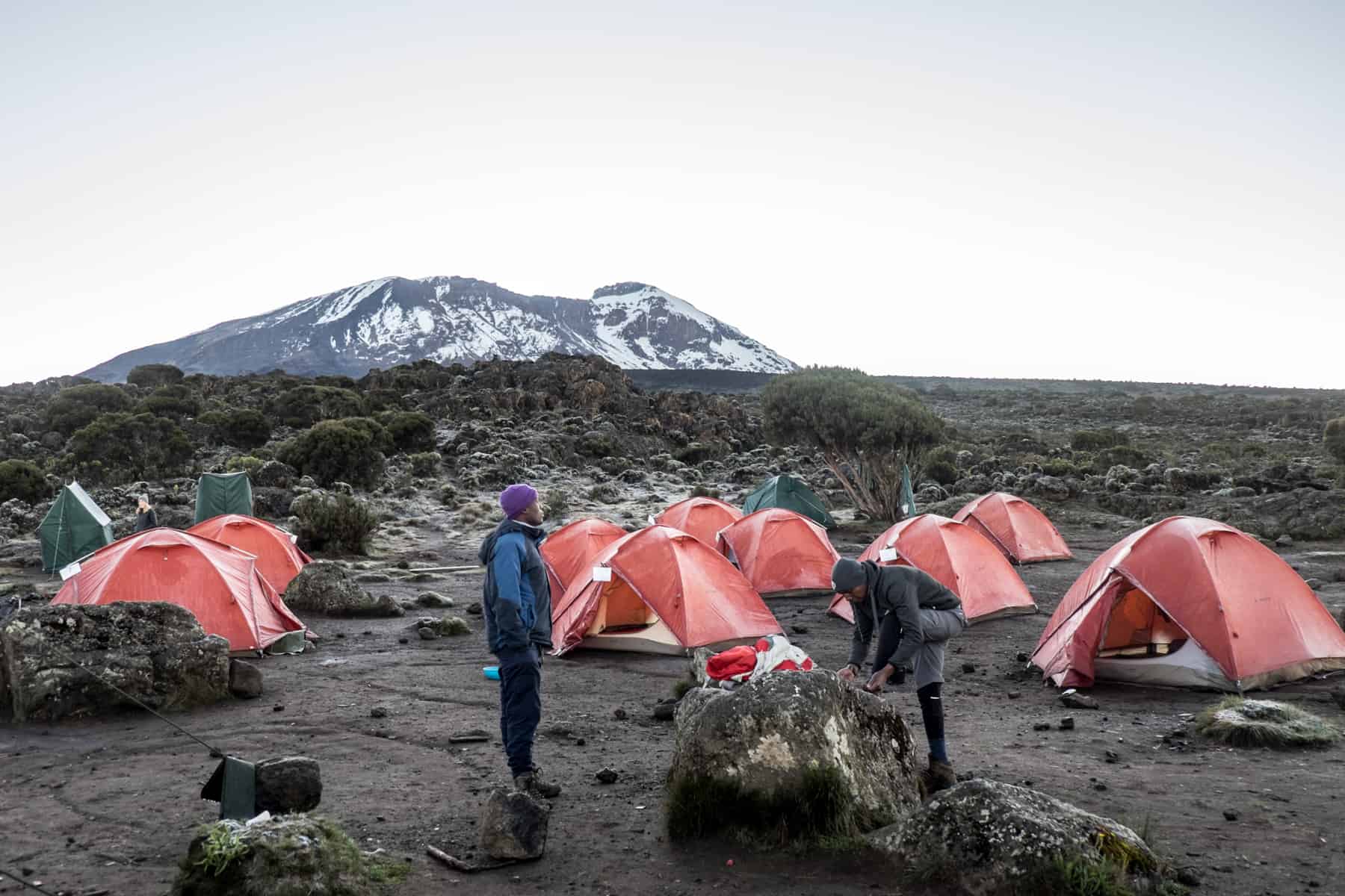 Orange tents set up in rocky landscape and small green bushes at the Kilimanjaro Shira 2 Camp.