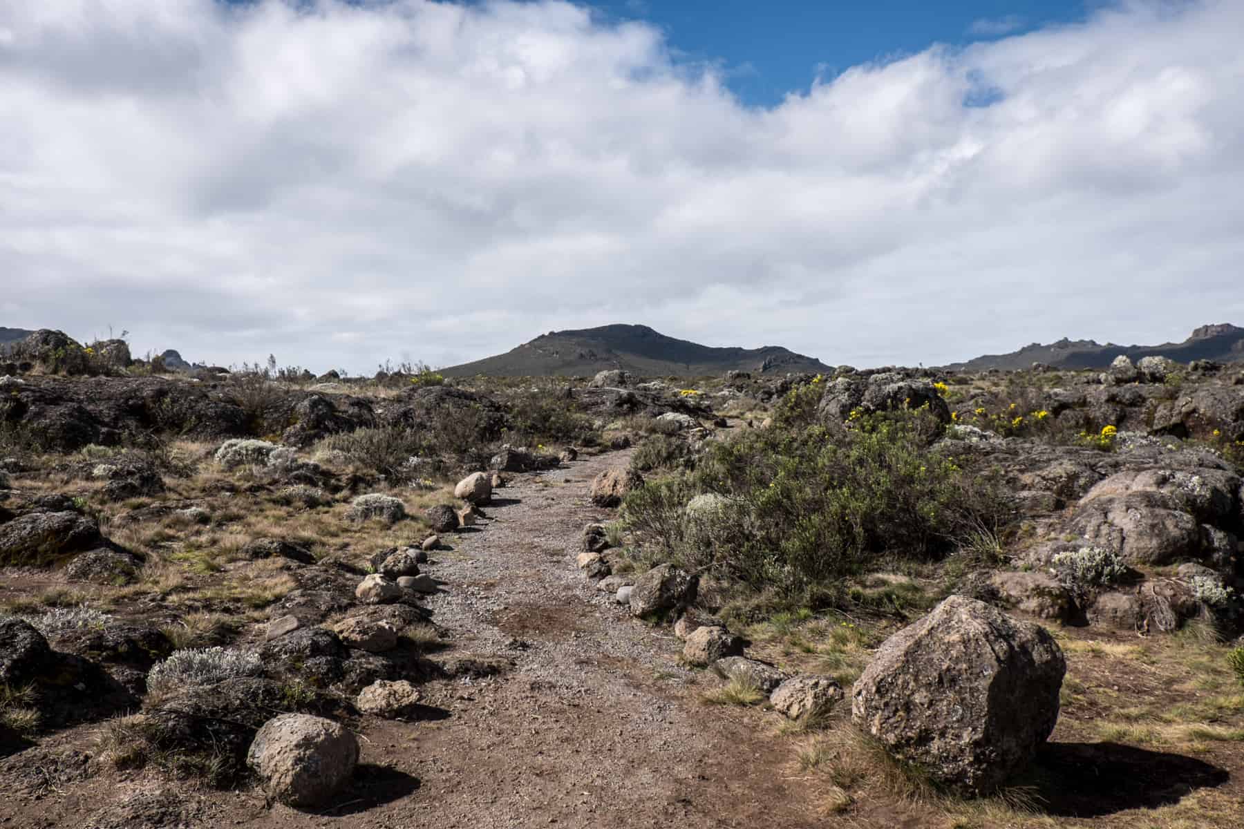 A flattened path mark by a boundary of small rocks through a dry-grassy, rock strewn mountain landscape.
