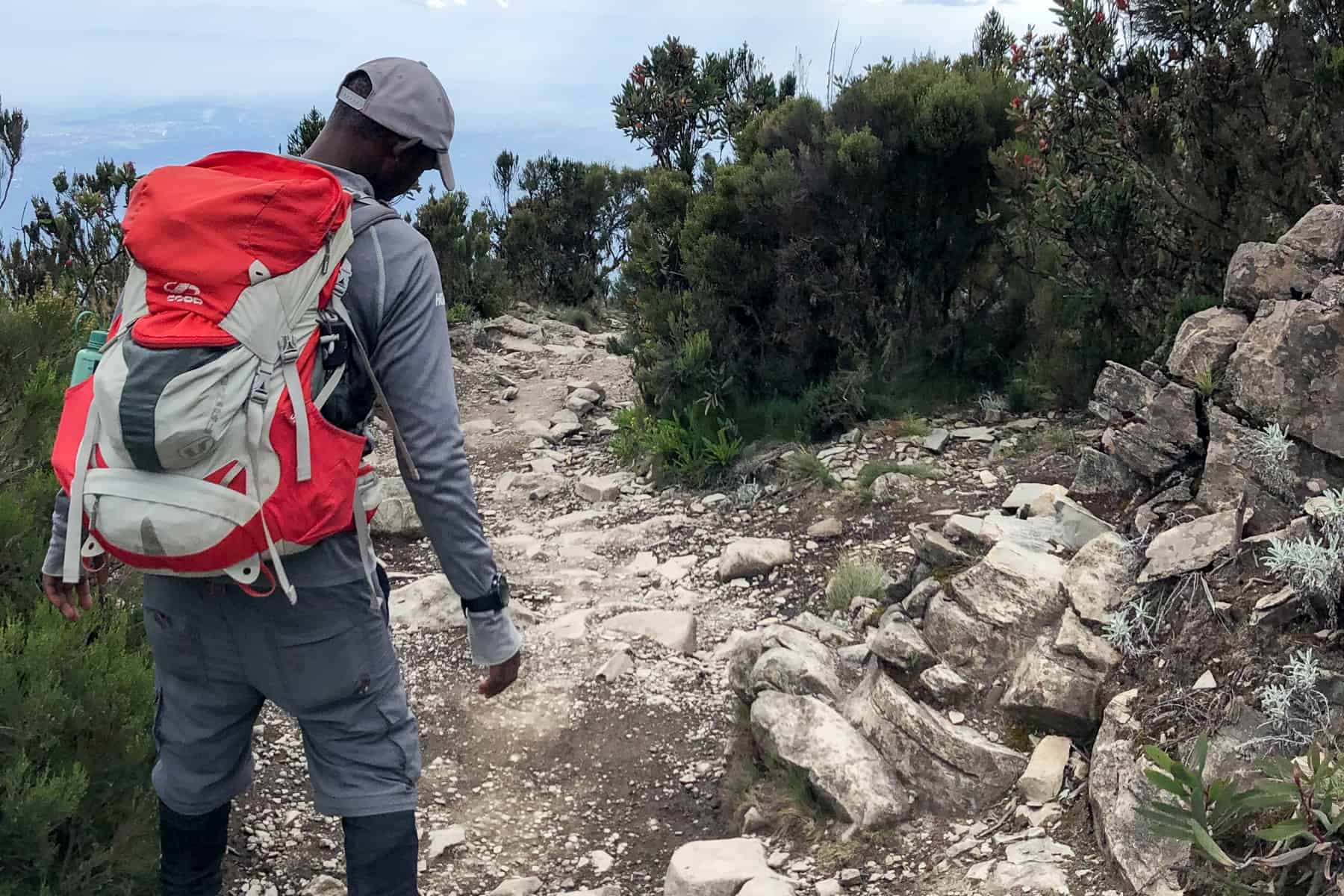 A man in grey clothing and carrying a red and grey bag walking on a white rock path through green shrubbery. 