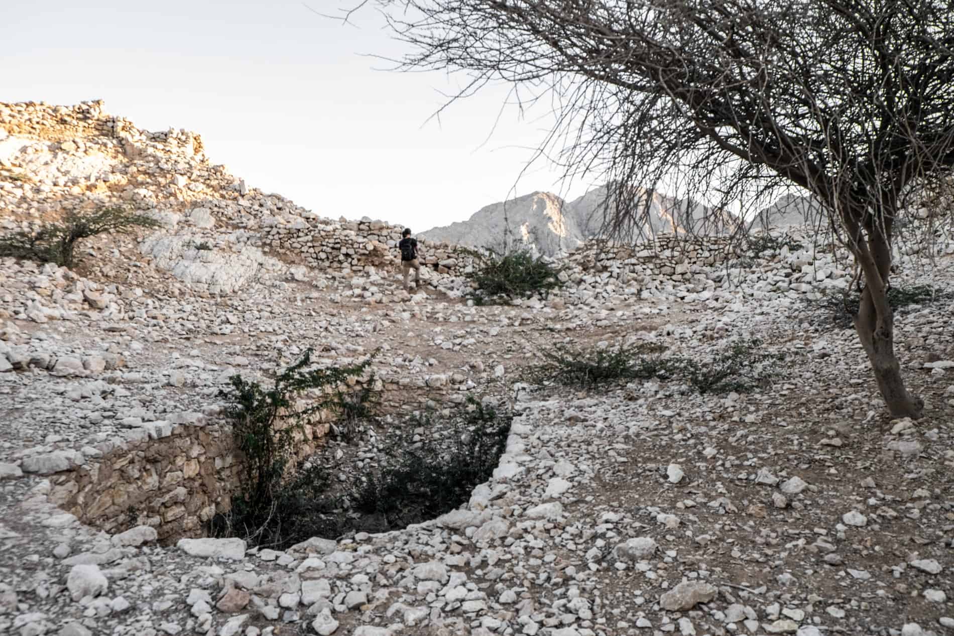 A man walks on a mountain top strewn with white stones, an isolated tree and a hole containing ruin walls. 