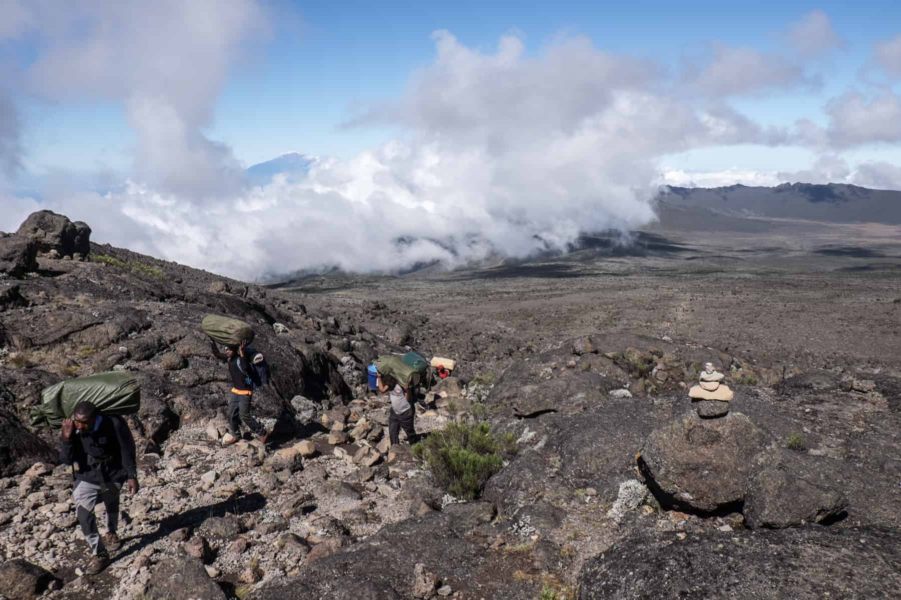 Porters carrying large green sacks walk over the rocky Shira Cathedral ridge with a view over the dry green area of the Kilimanjaro Shira 2 Camp.