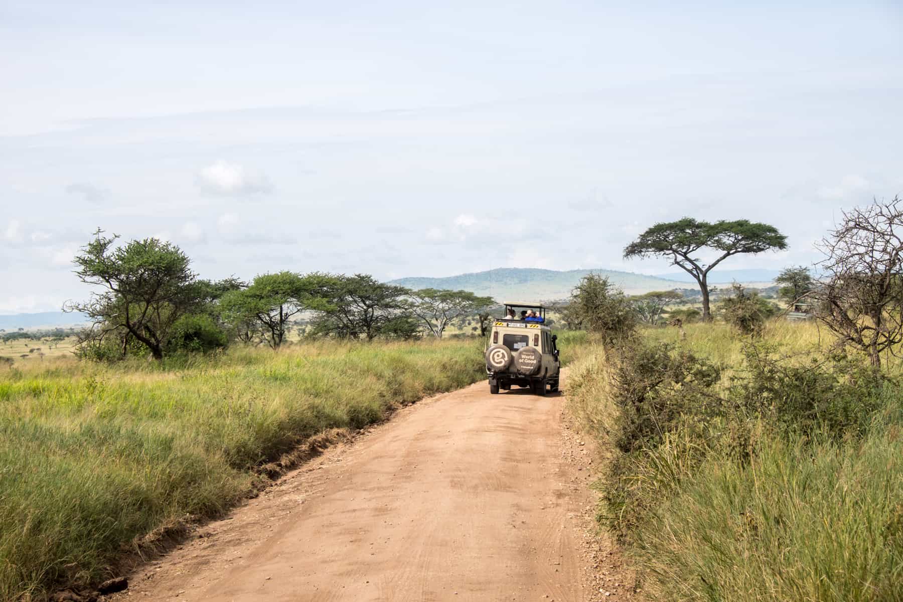 A beige safari truck driving down a dusty orange road through the Serengeti. The path cuts through green foliage and tall, leaf roofed trees. 