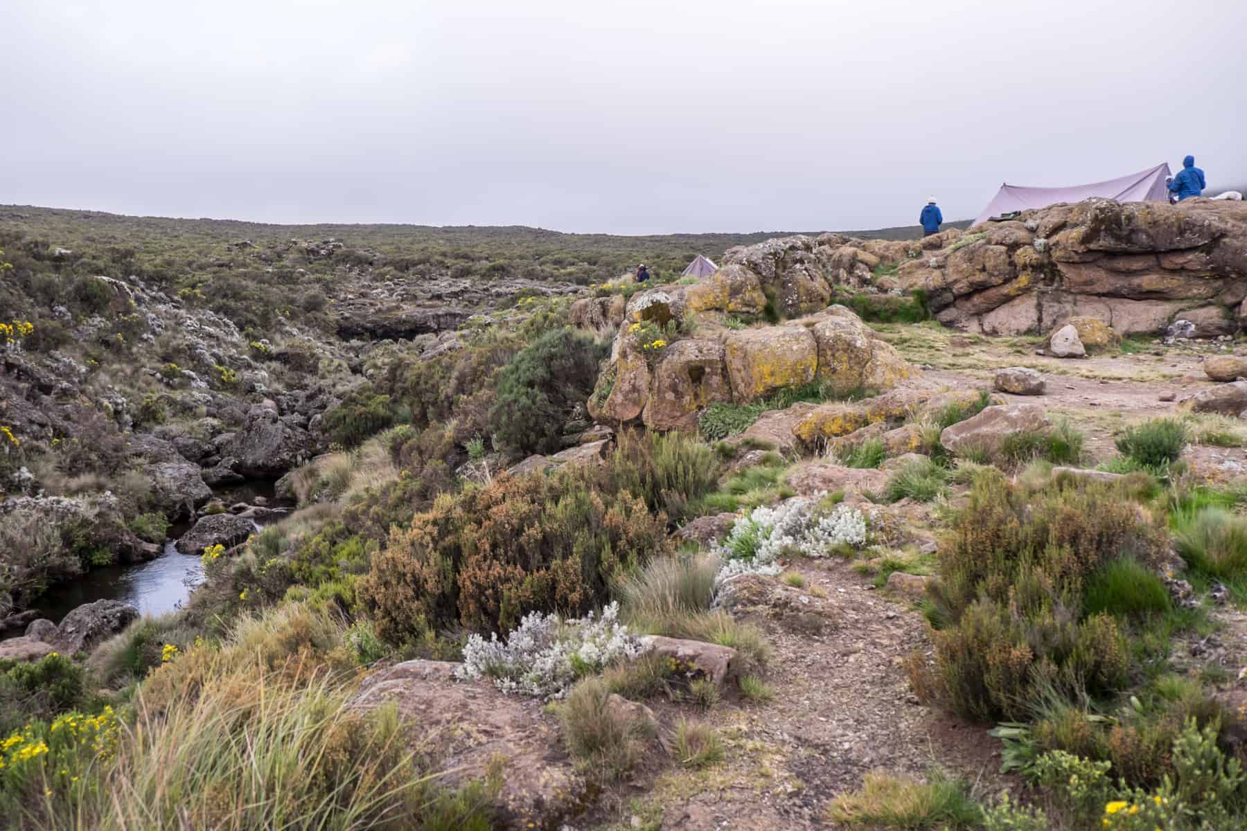 A tent on a rocky ledge next to a small stream in the dry grasslands of Kilimanjaro. 