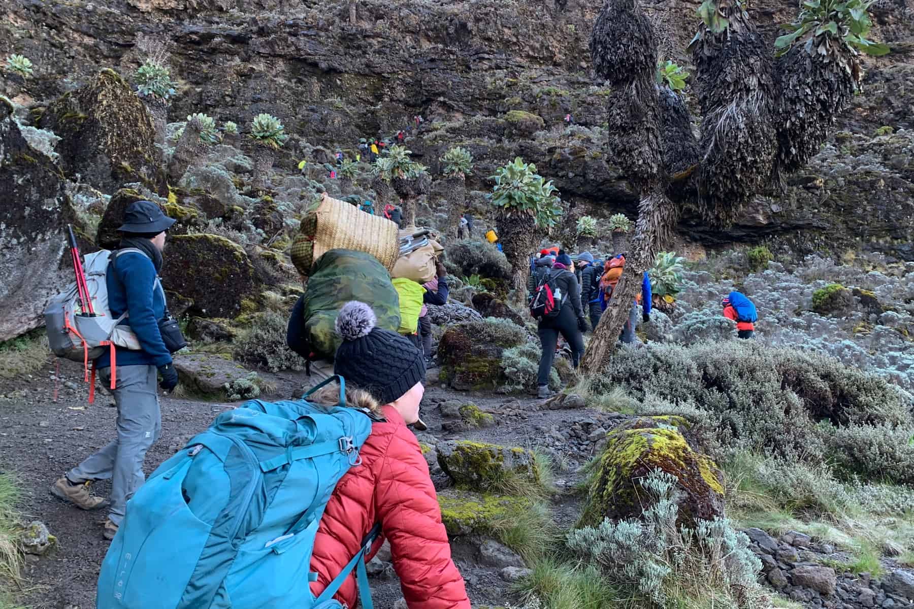 A woman in a red jacket and blue backpack clambers over low rocks and vivid green bushes towards a large rock wall where other people are walking.