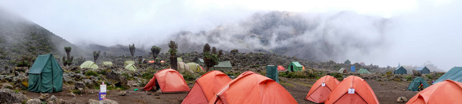 A line of orange tents and a green toilet tent set in the misty, tree valley of Barranco in Kilimanjaro