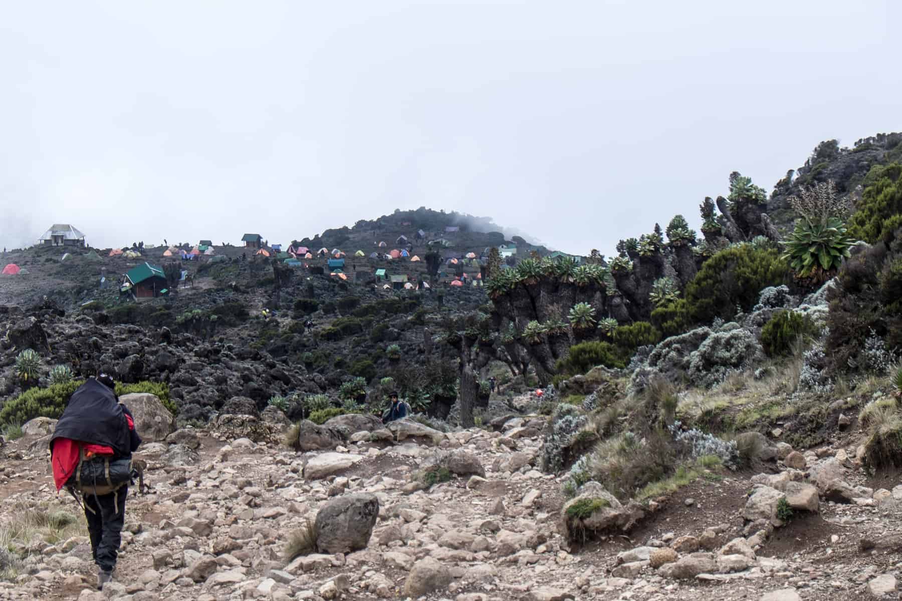 A man with a large backpack walks towards the colourful tents of the Barranco Camp on dark hillside on the Kilimanjaro trek.