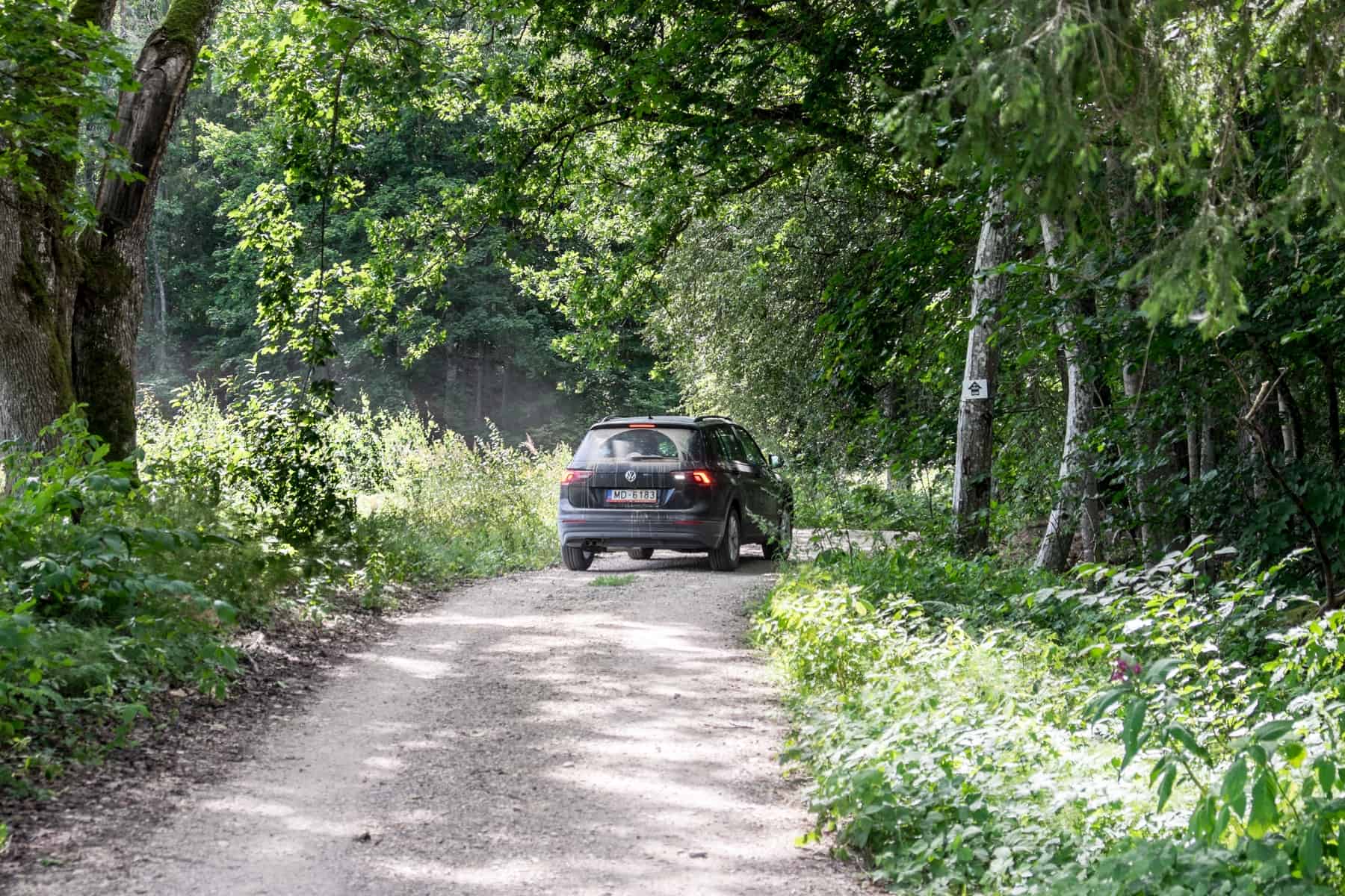 A small black. car drives on a grey gravel road through a dense green forest that almost forms an archway over the road.