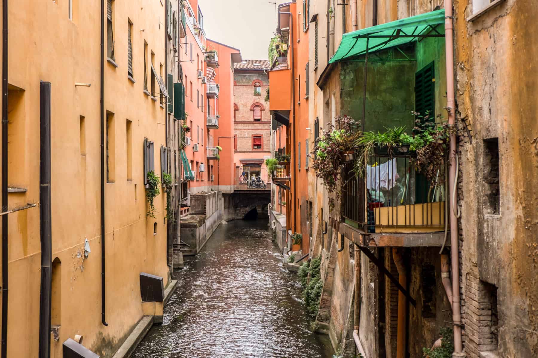 A small street canal in Bologna that runs past yellow and orange residential building blocks. 