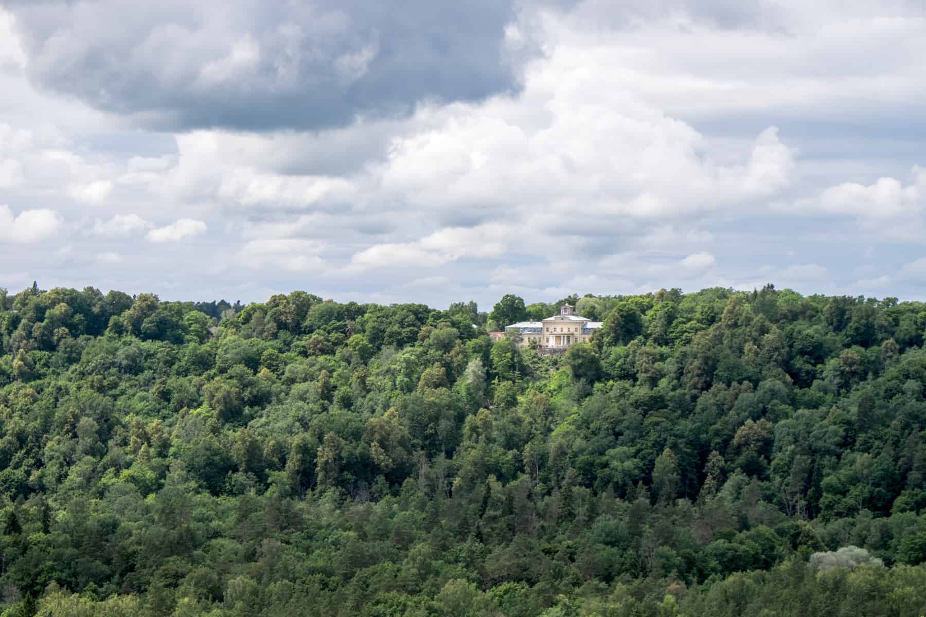 A yellow manor house pokes through a huge mass of green busy trees, under a grey-blue sky