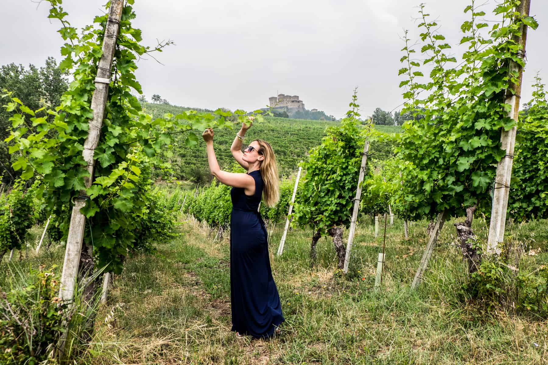 A woman in a blue dress looks closely at a branch in a green vineyard backed by a castle on a hill. 
