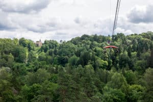 A glider with a red roof glides on a wire to a backdrop of a dense green forest. A salmon pink castle can be seen in the background on the left.