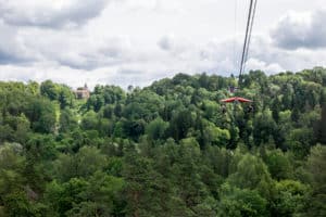 A glider with a red roof glides on a wire to a backdrop of a dense green forest. A salmon pink castle can be seen in the background on the left.