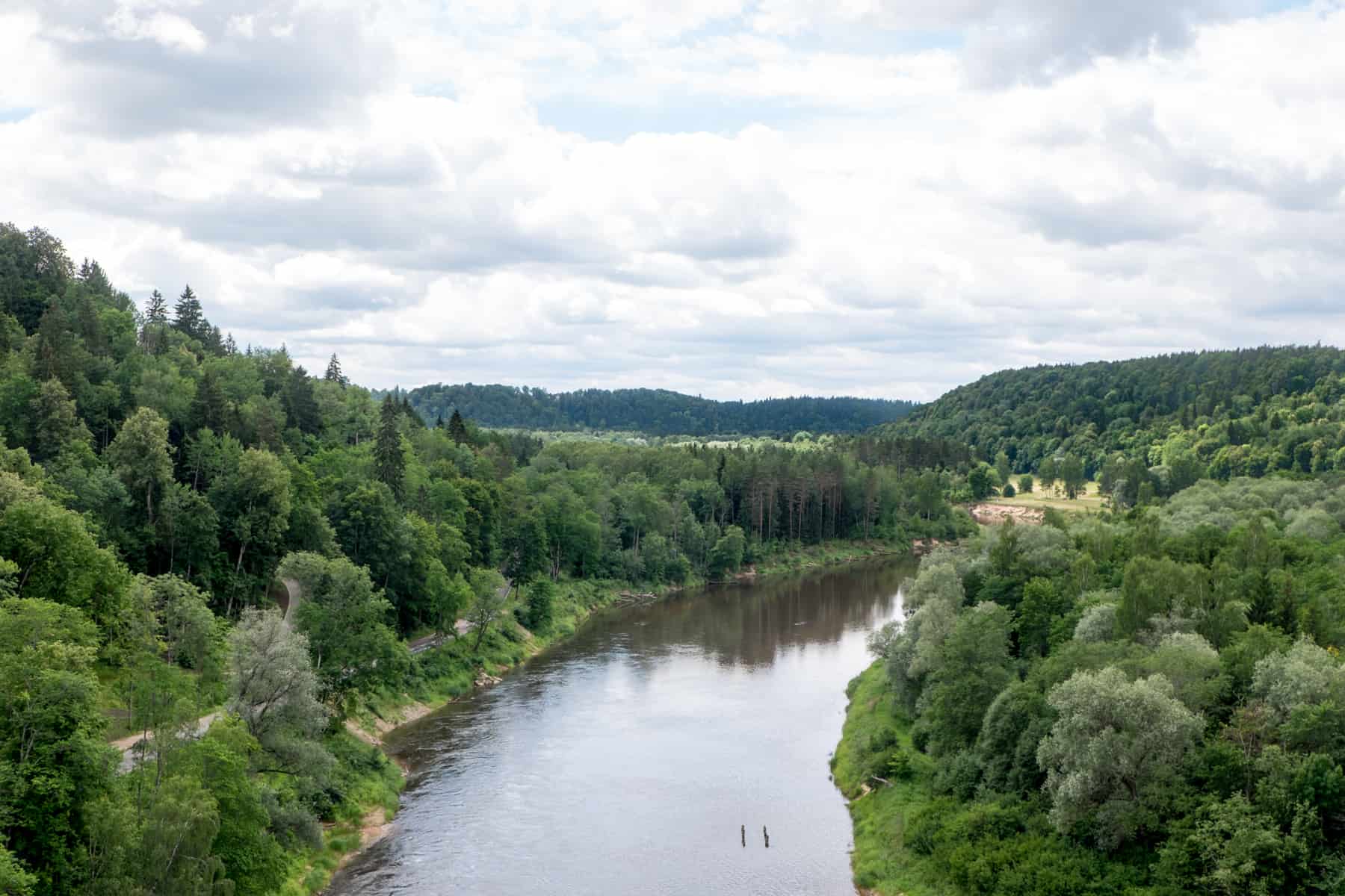 A wide river tributary cuts through dense forest landscapes and curves to the left as it continues its journey.