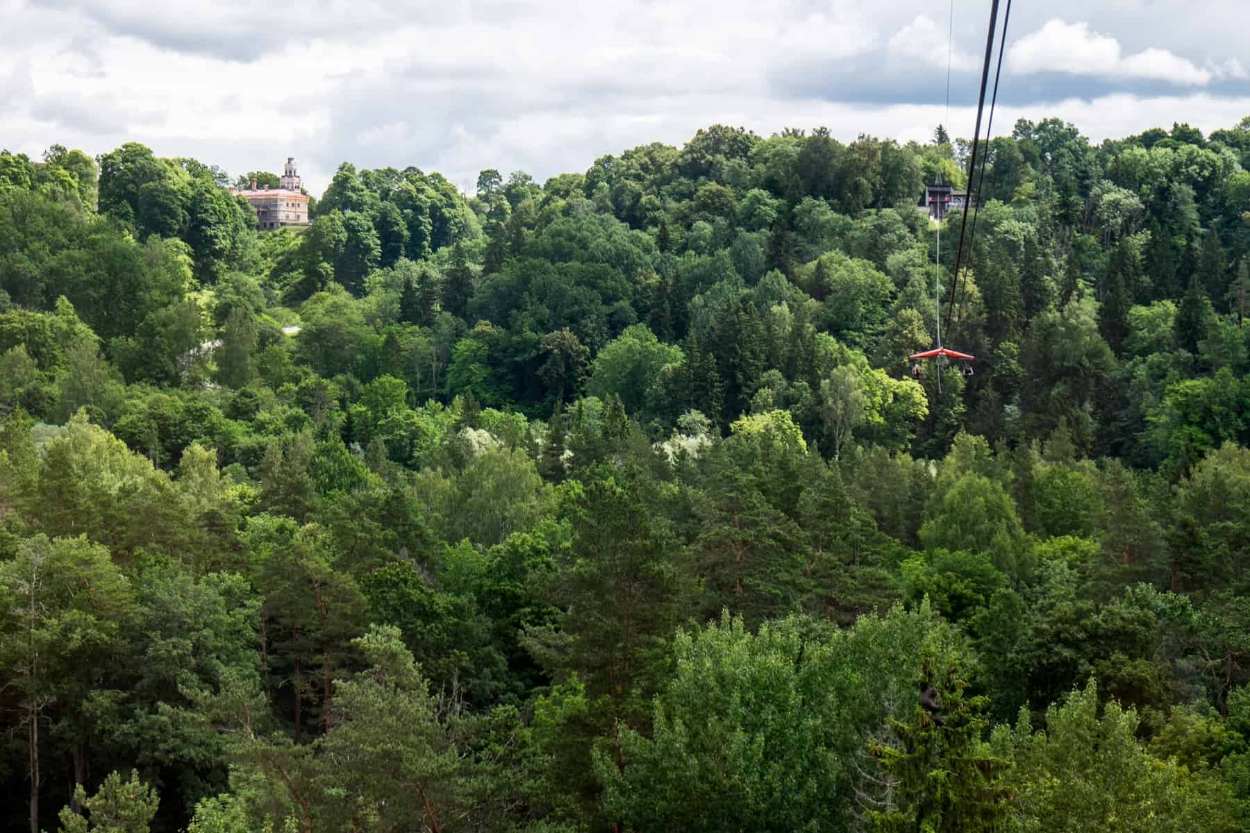 A glider with a red roof glides on a wire to a backdrop of a dense green forest. A salmon pink castle can be seen in the background on the left.