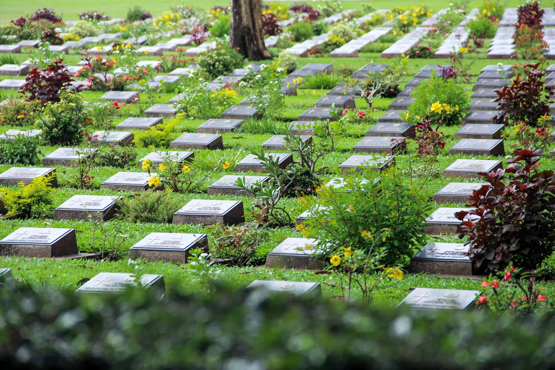 Neat rows of inscribed bronze gravestones at the Kanchanaburi War Cemetery.
