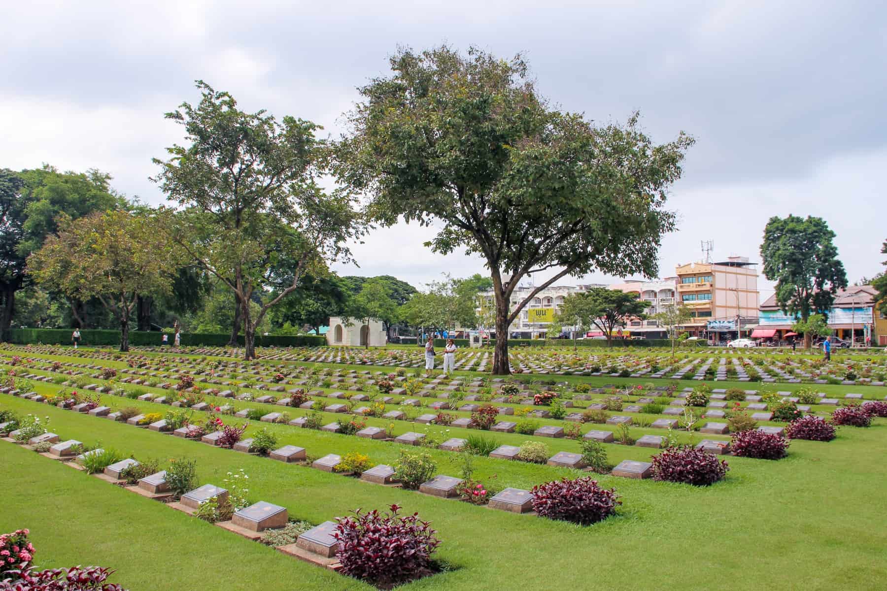 Two people stand next to a large tree within row upon row of square bronze grave stones in the Kanchanaburi War Cemetery.