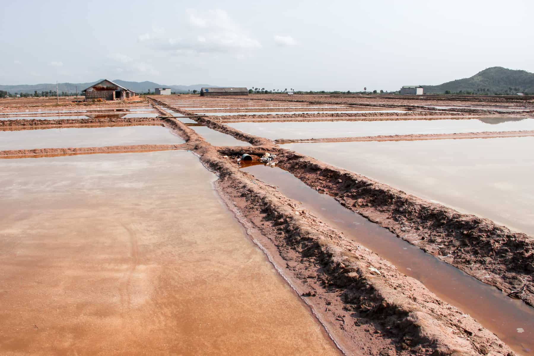 Rows of rectangular pools of water with golden brown mud walls and a distant triangular wooden roofed hut, showing the typical Salt Fields of Kampot, Cambodia.