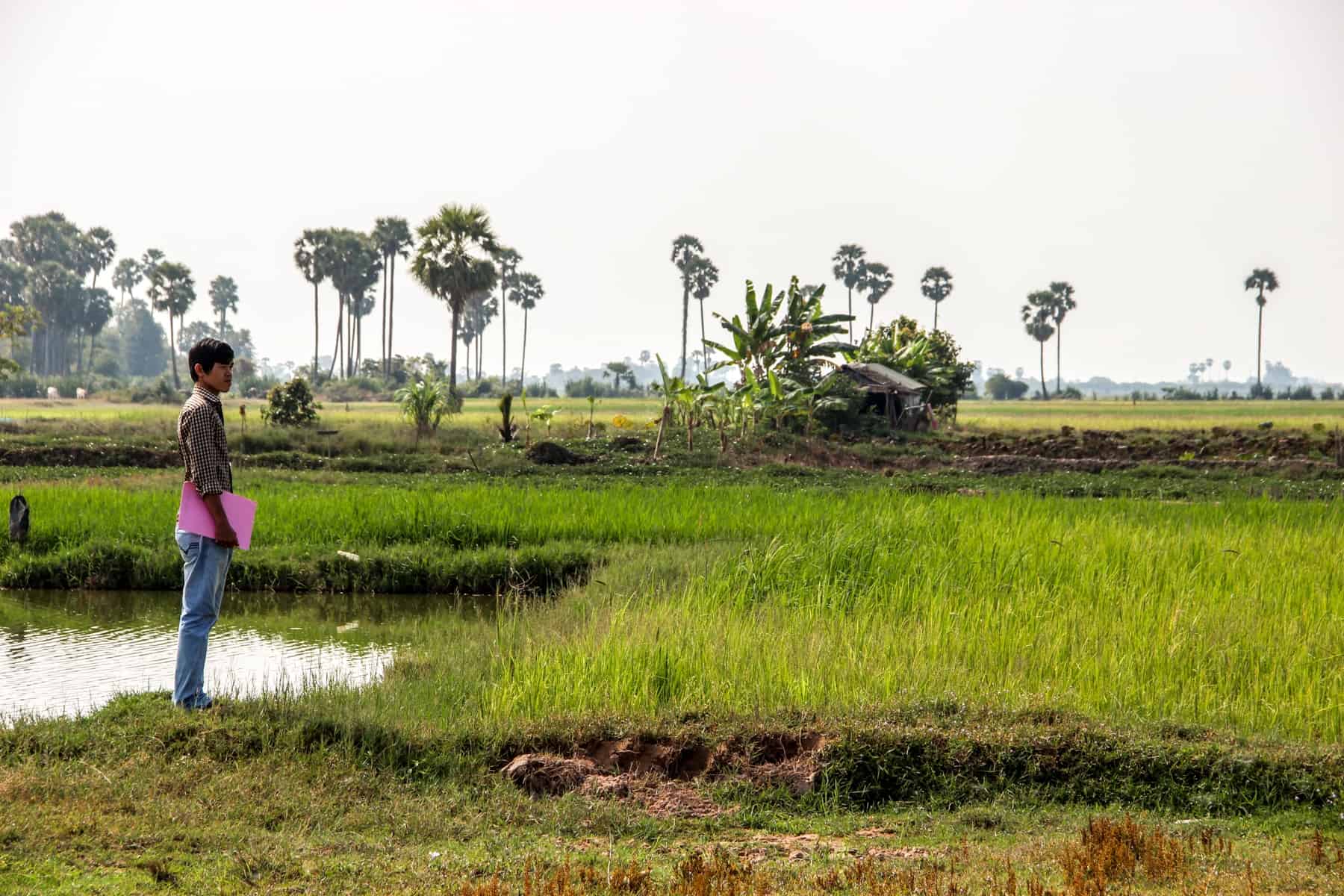 A Cambodian man holding a pink folder while standing in a flat, green rice paddy field. Part of a village visit on a volunteer trip. 