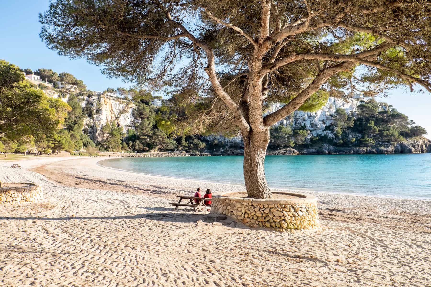 A couple sit on a bench under a large tree on a curving white sand beach, with a bright aqua sea.