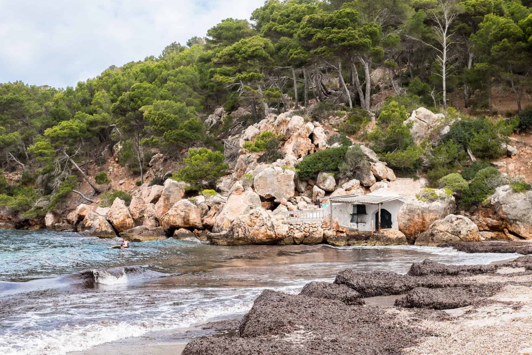 A rocky beach cove surrounded by dense green forest on the golden rocky coastline of Menorca, Spain, Balearic Islands. 