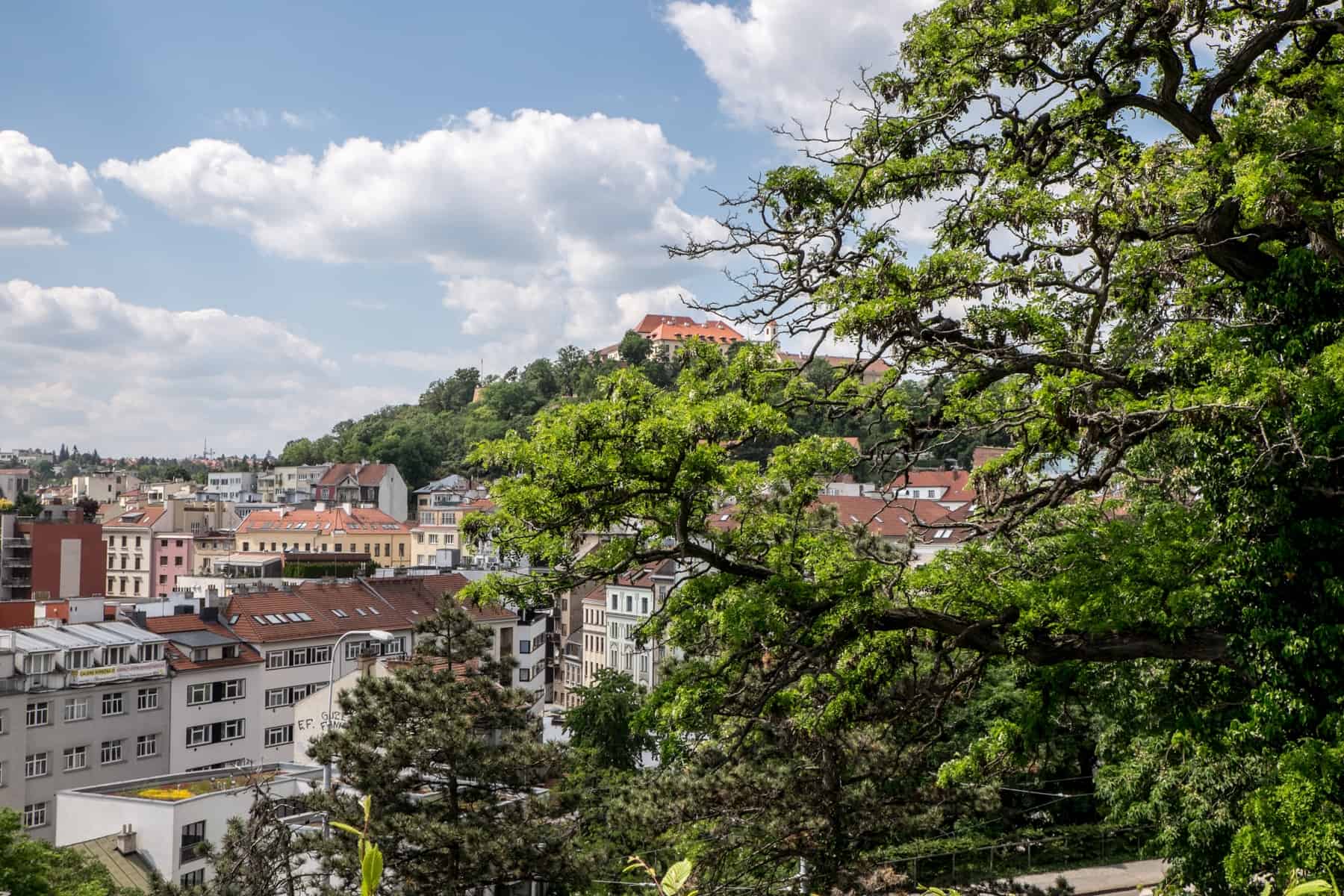 View to Špilberk Castle in Brno perched on a green hilltop overlooking the pastel buildings on the city below. 