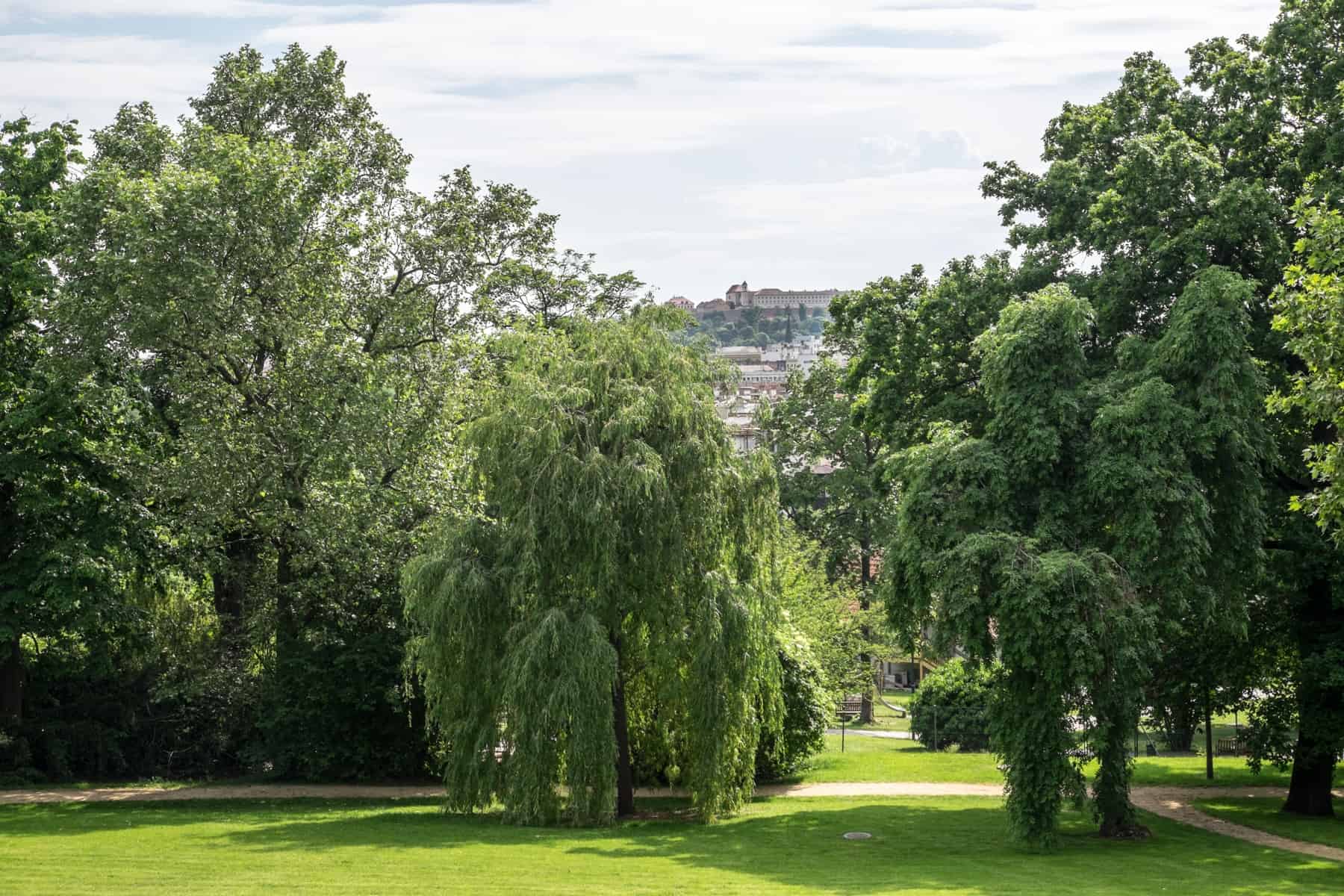 View from a manicured garden with large, bushy trees, looking towards a city skyline and elevated castle in the distance. 