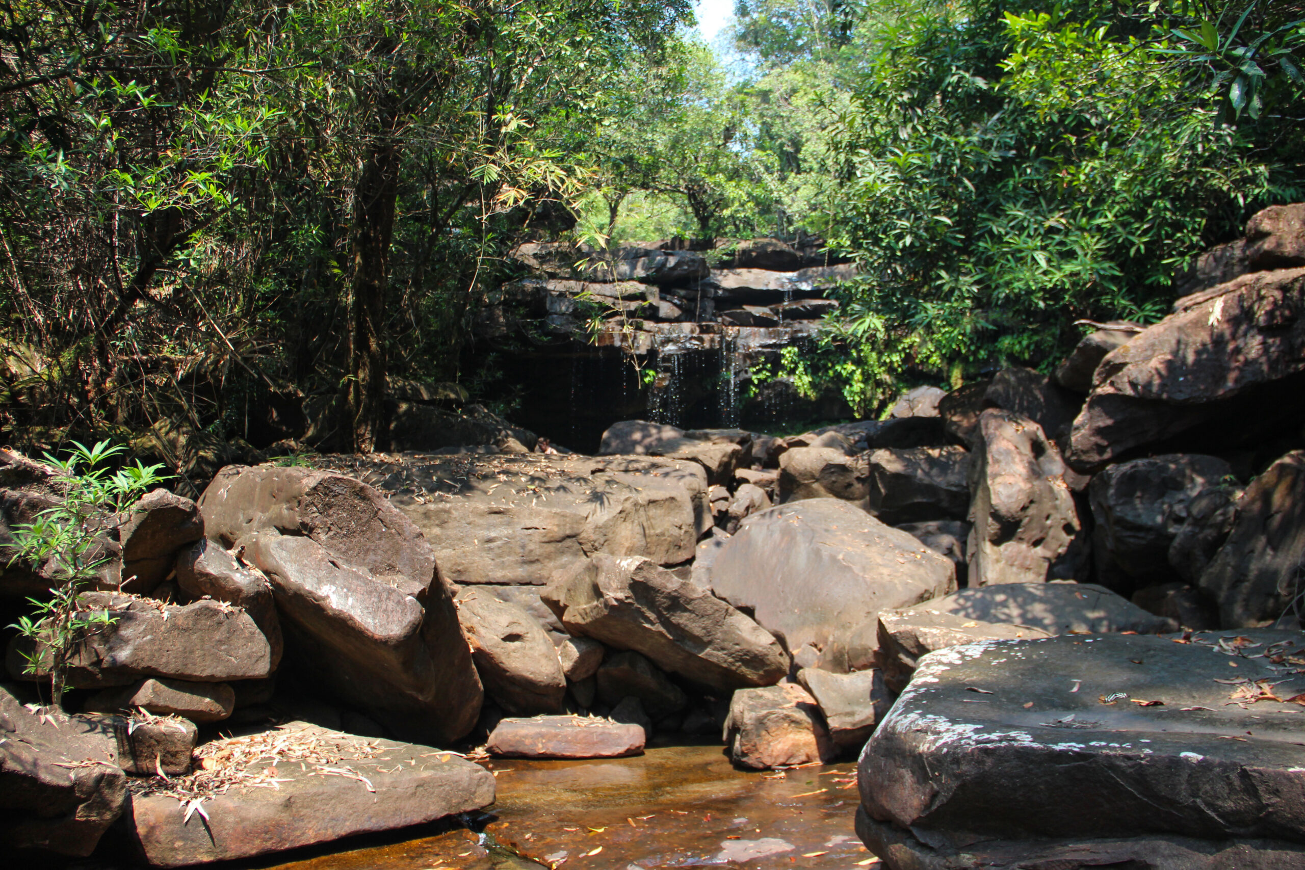 View to a rocky elevation with a small waterfall surrounded by jungle foliage.