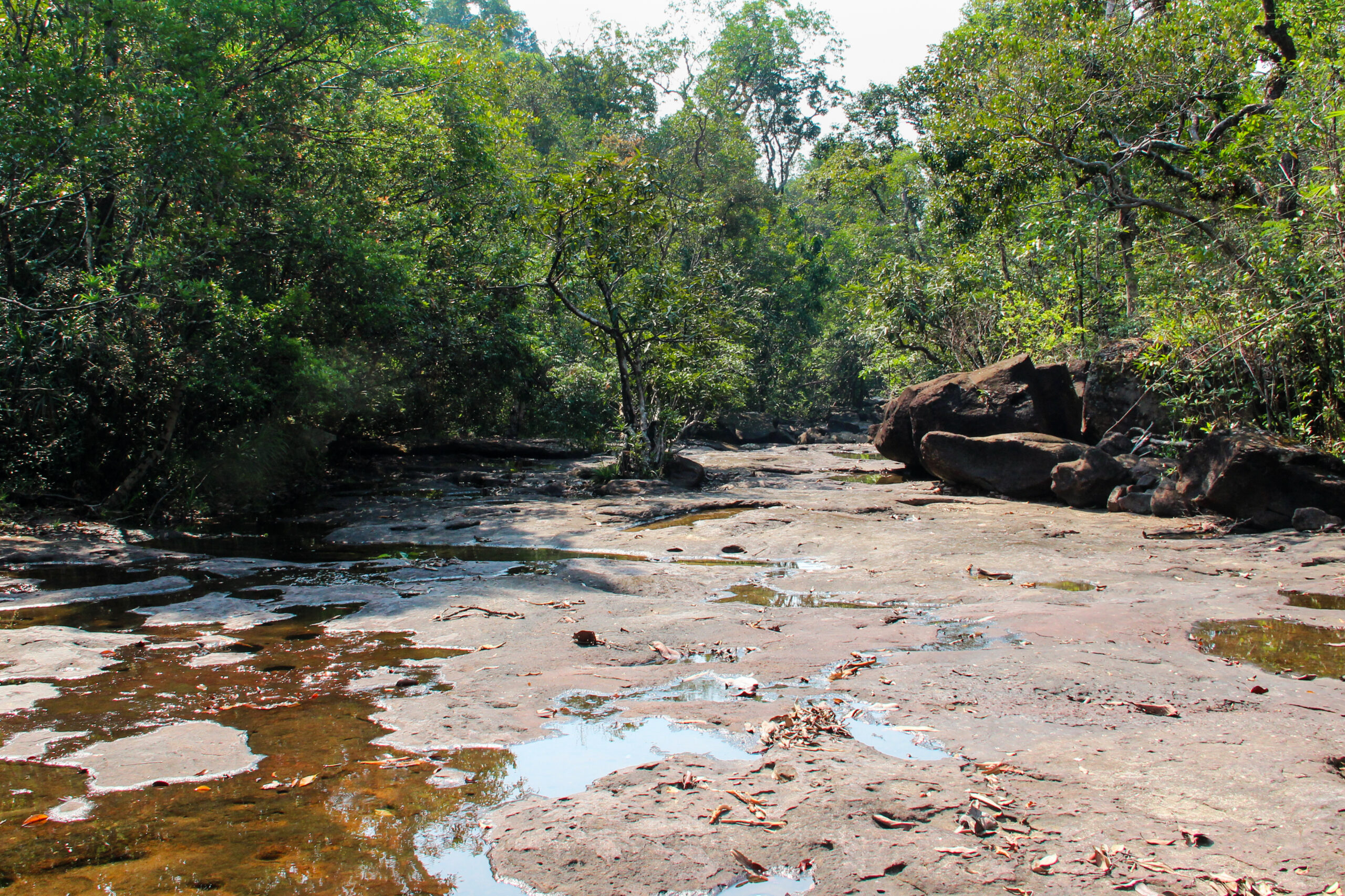 View of a wide, flat and muddy section of the jungle trail in Koh Kong Island.