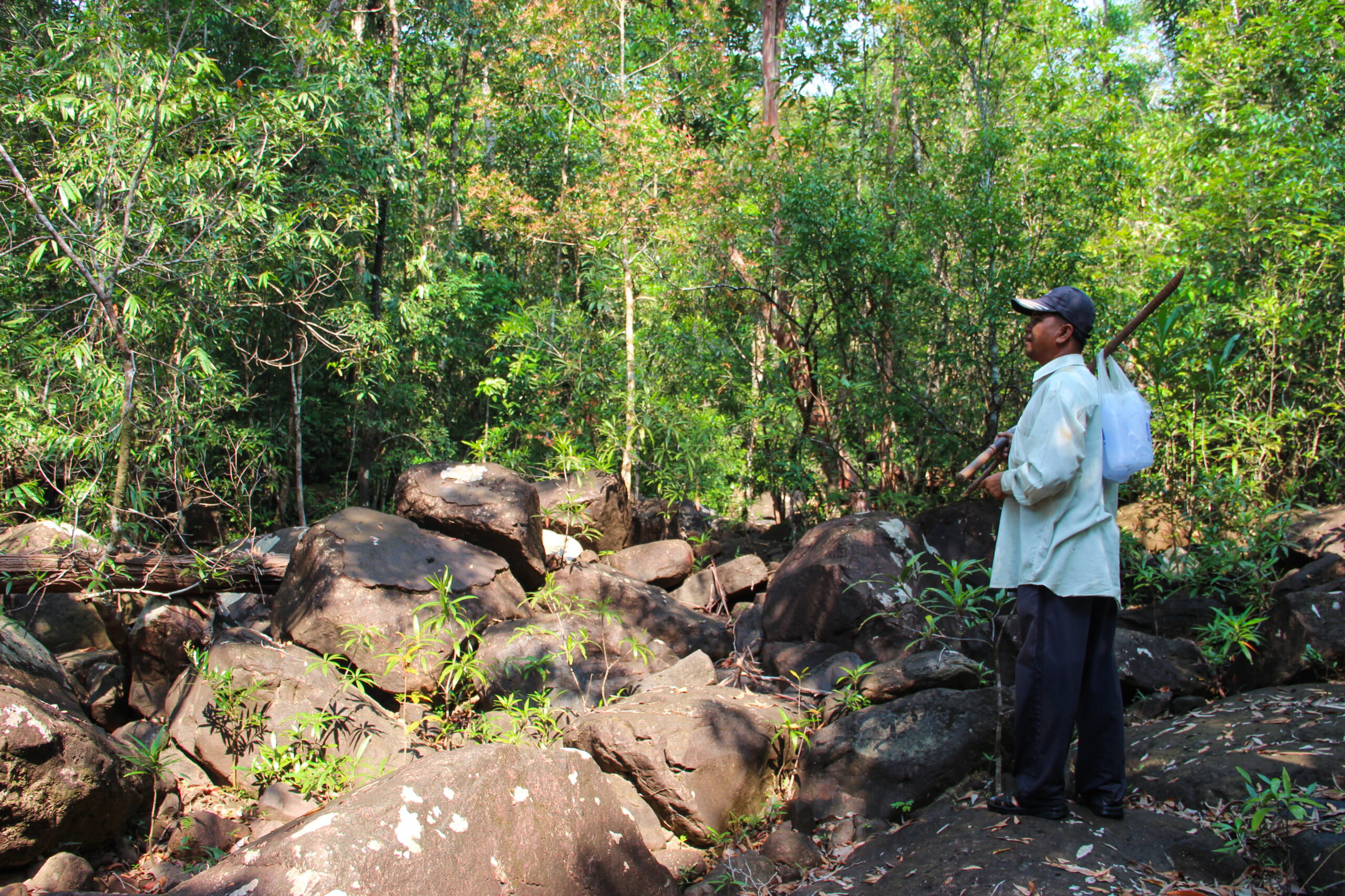 A man dressed in a white shirt and dark trousers, carrying a plastic bag on a stick, stops to survey the thick jungle environment of Koh Kong.