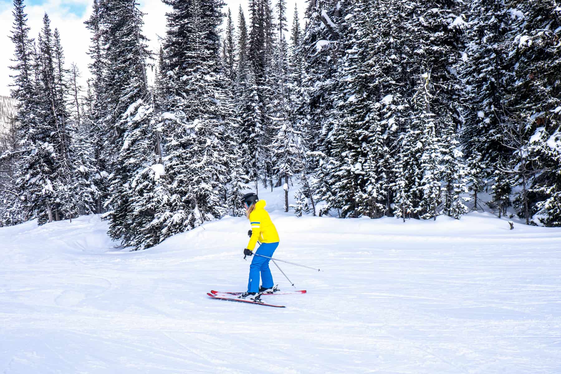 A woman in yellow and blue ski gear on the forested slopes on Sunshine Village Ski Resort in Banff.