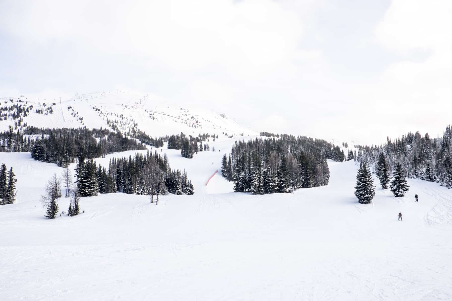 Two skiers on the forested ski slopes of Banff in front of a low snow covered hill. 