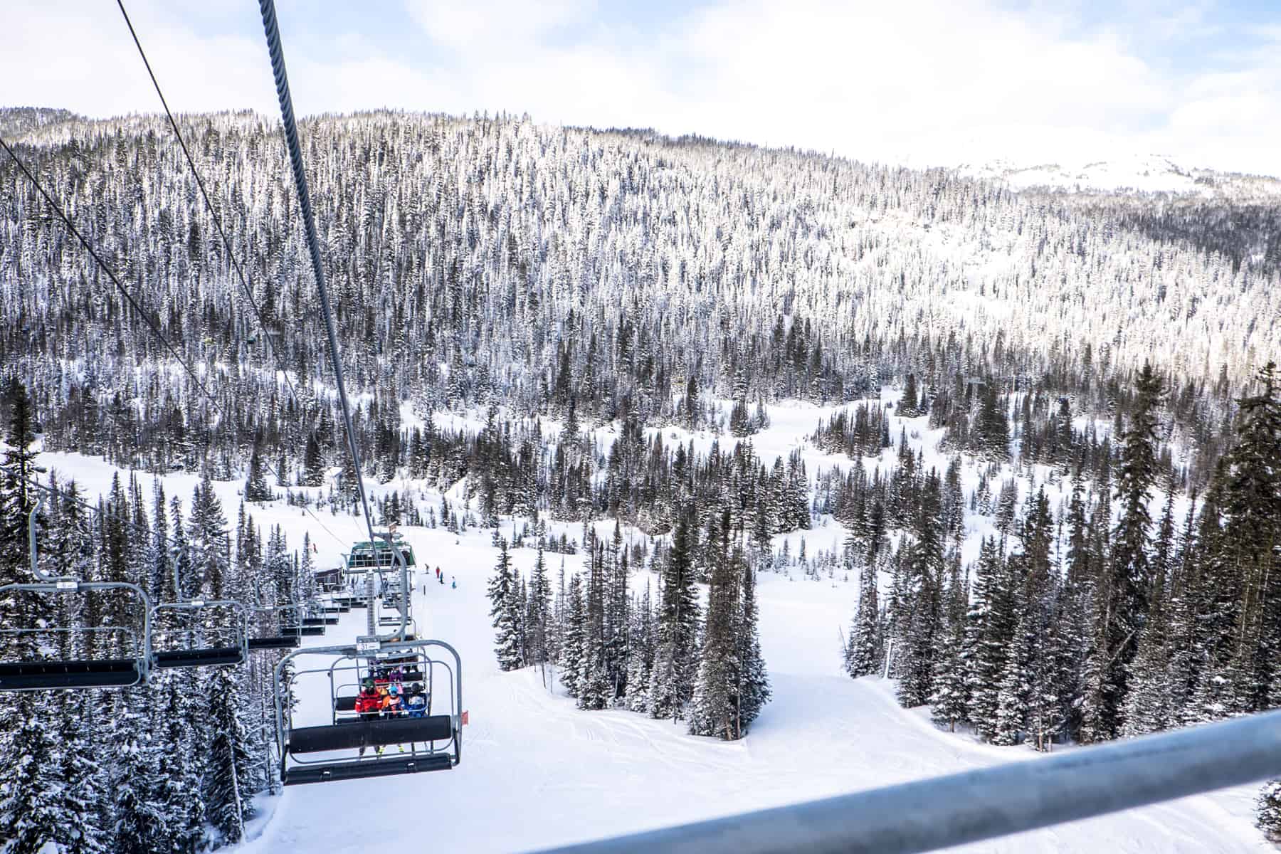 View from a gondola seat of the snow covered forest of Banff National Park in Winter. 