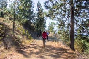 Two people cycling on a forest lined dirt path on the Kettle Valley Railway Trail in British Columbia.