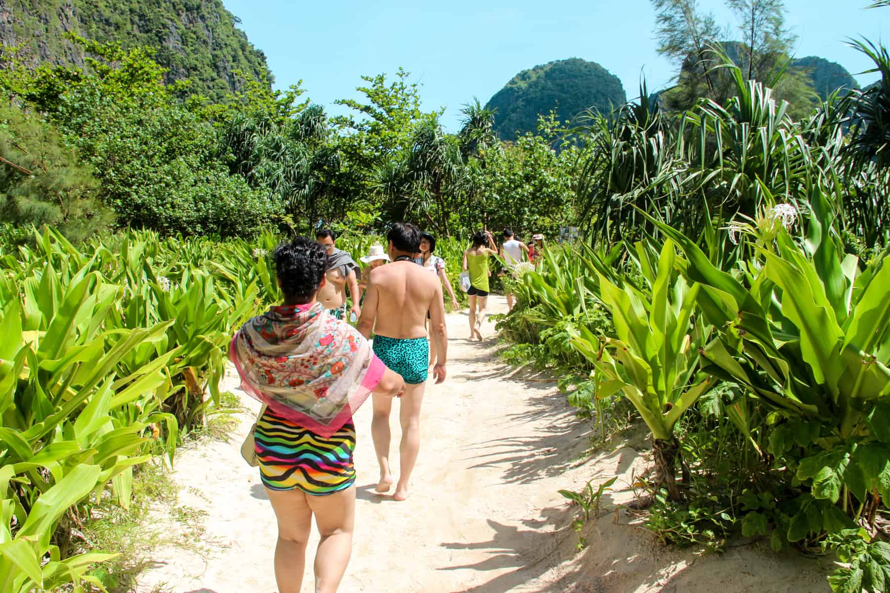People walking on a white sand path on through a lush jungle to get to the beach at Maya Bay, Thailand. 