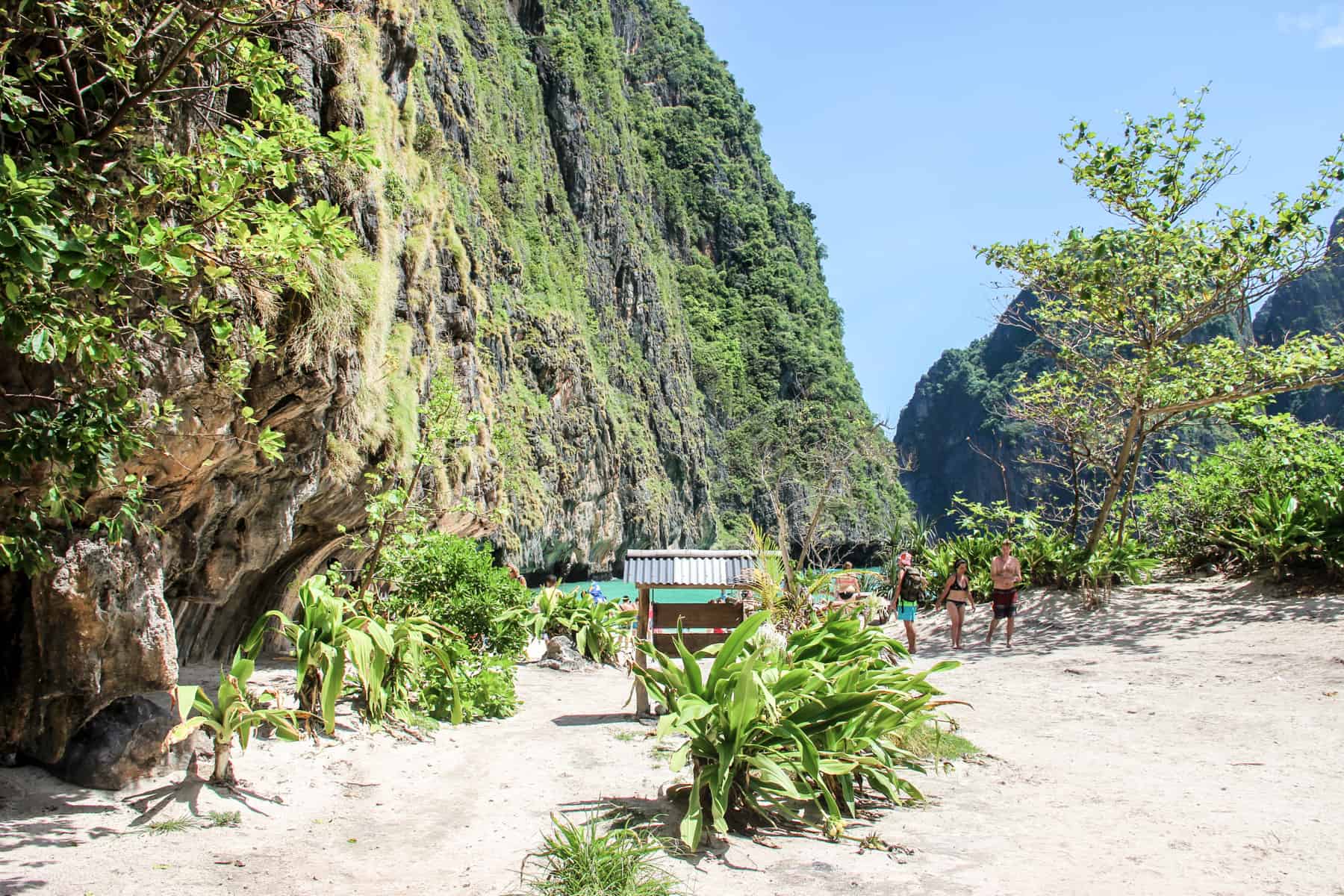 Three people stand in a sandy forested area in a rocky cove, overlooking the turquoise waters of 'The Beach' in Maya Bay in Thailand.. 