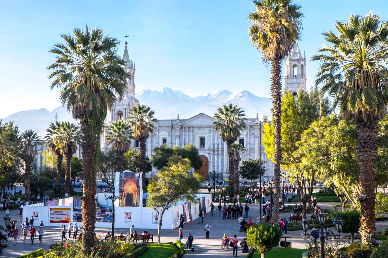 View to a grand, white dual spire building behind a public square filled with tall bushy, palm-like trees and mountains in the background.