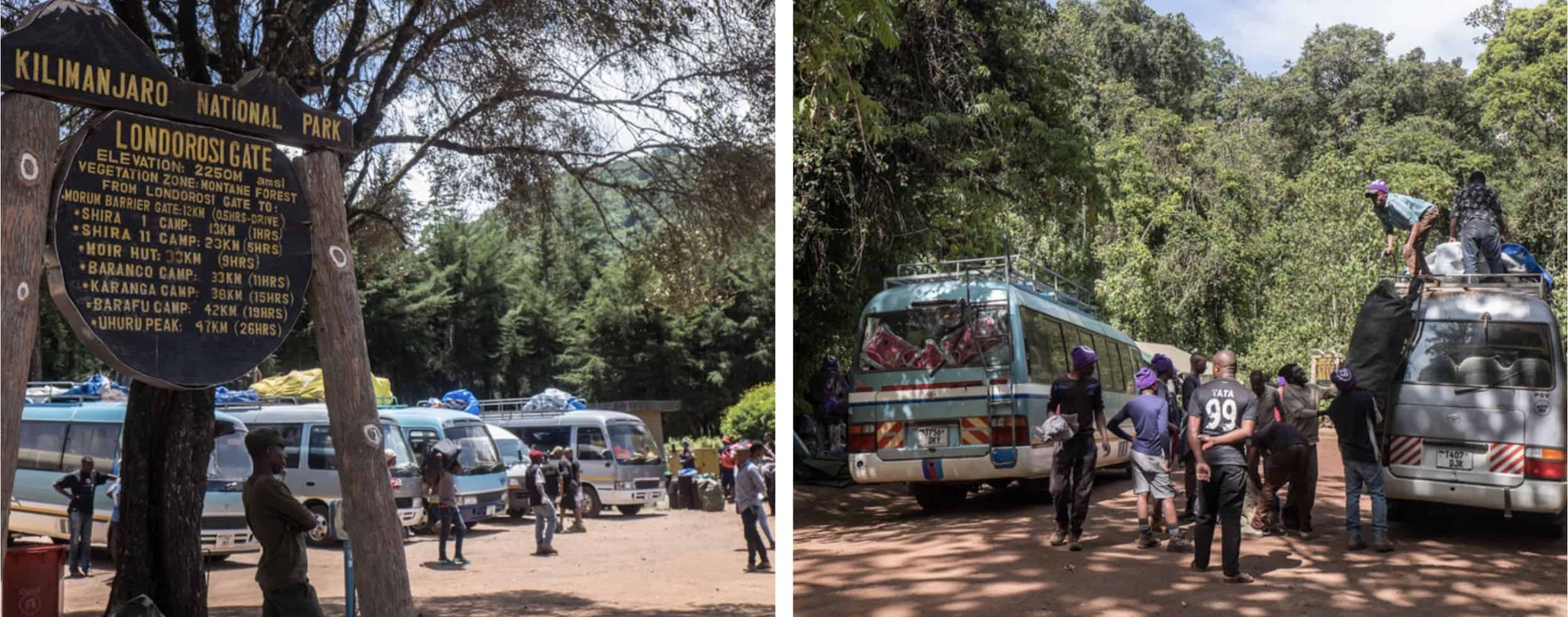 Vans with hikers parked and unloading at the Londorosi Gate at the start of the Kilimanjaro climb. 